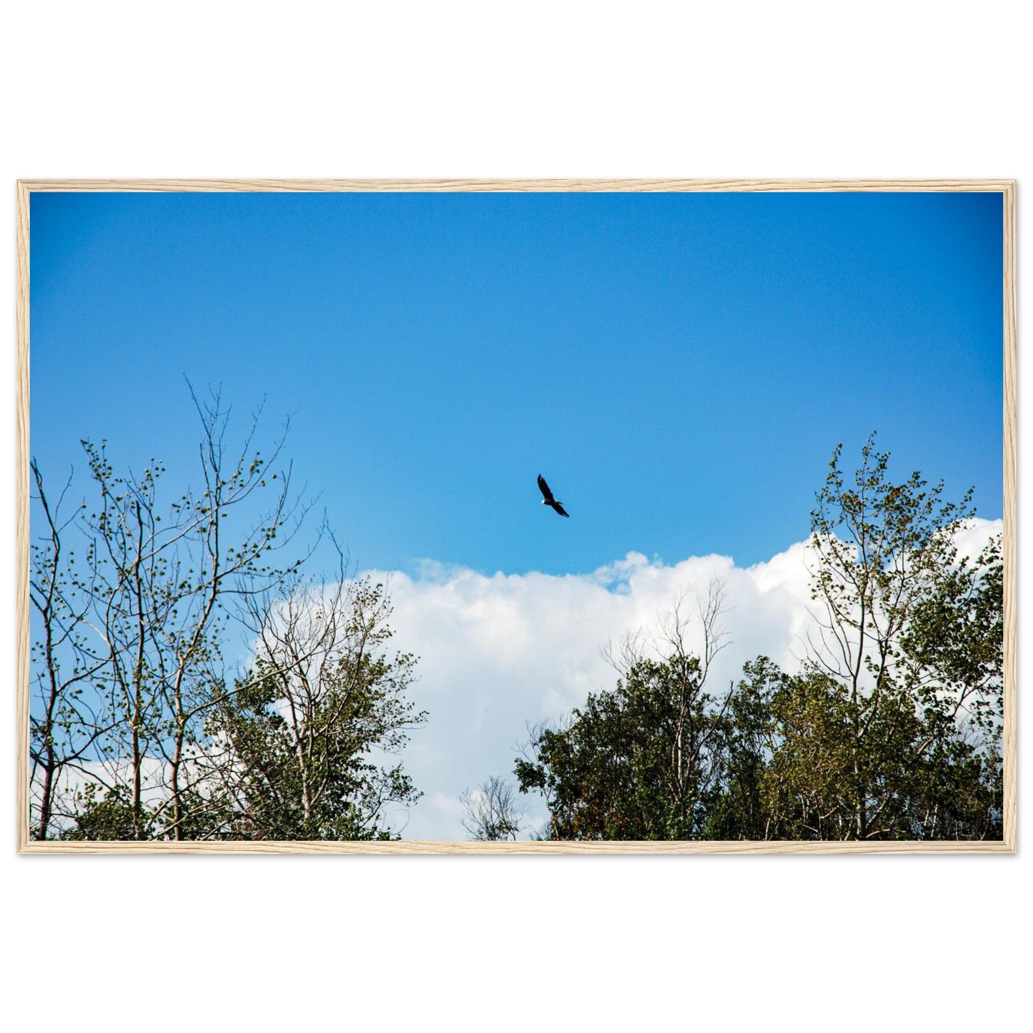 d25e023f-c637-4d85-9e54-e738ffe488a4