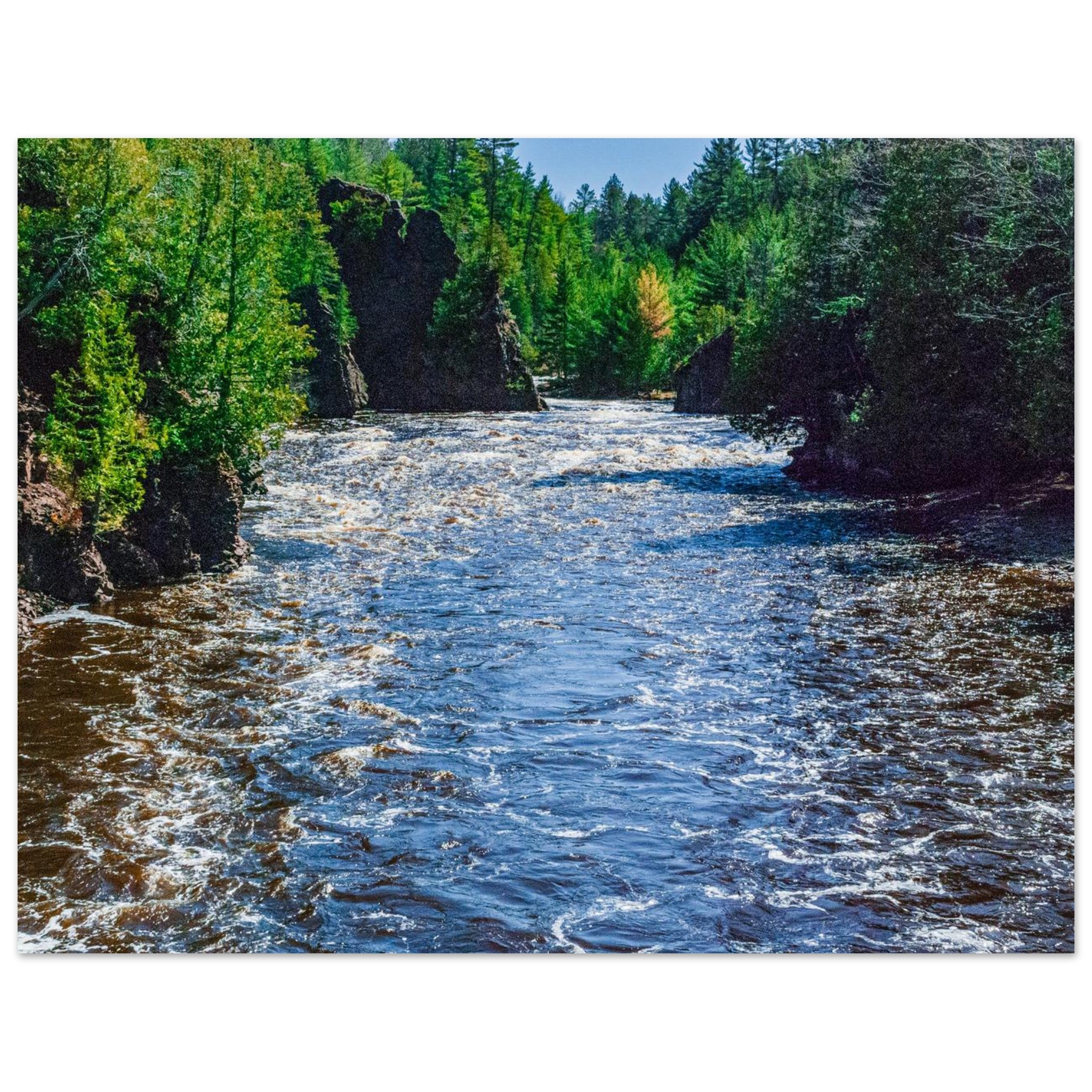 d27ad187-c56e-44c7-ac47-1c37af410299