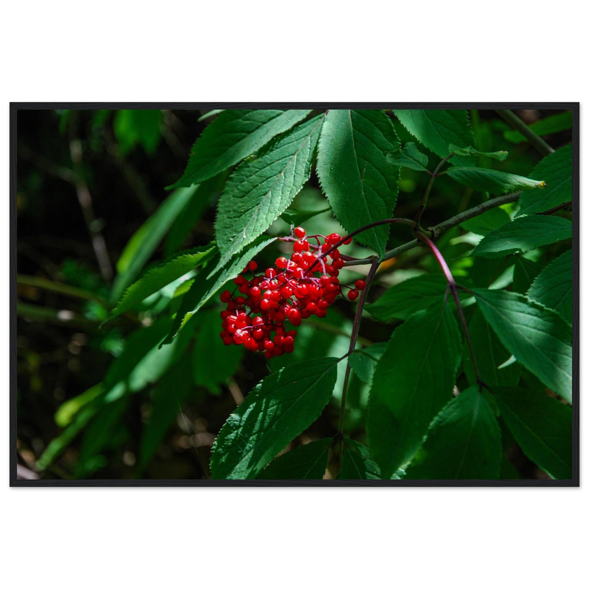 d2f3b2a6-9ba8-4c25-91f9-7408a2d0a15f