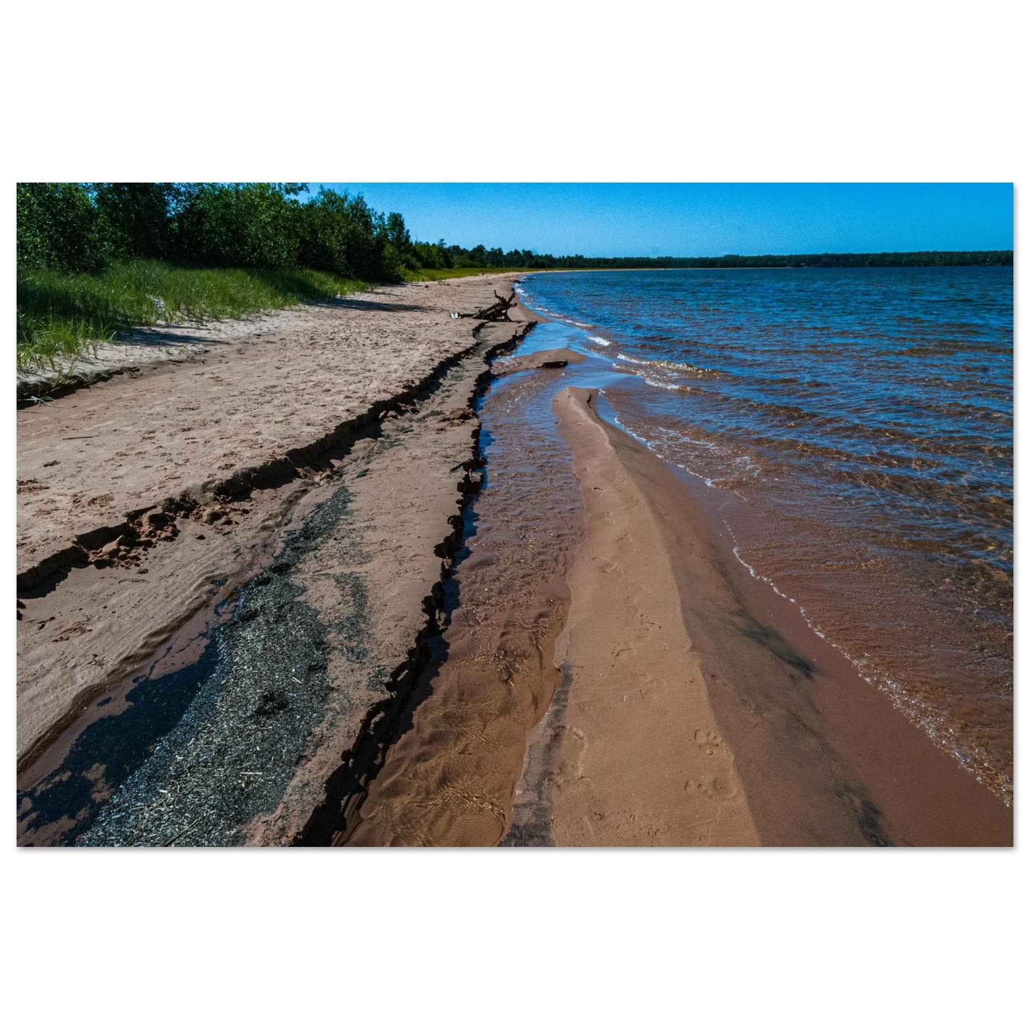 d4abdc31-f93b-4c04-87e2-04521bf124c1