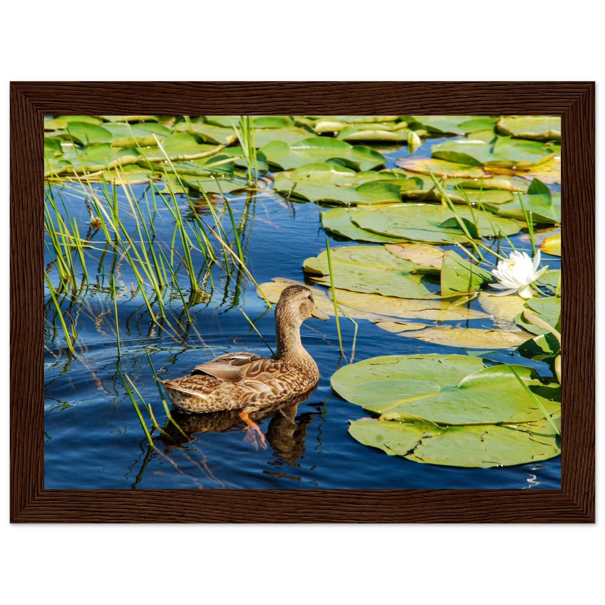 d4bbc5c6-6925-4a6d-a4bd-8b9b11515bbf