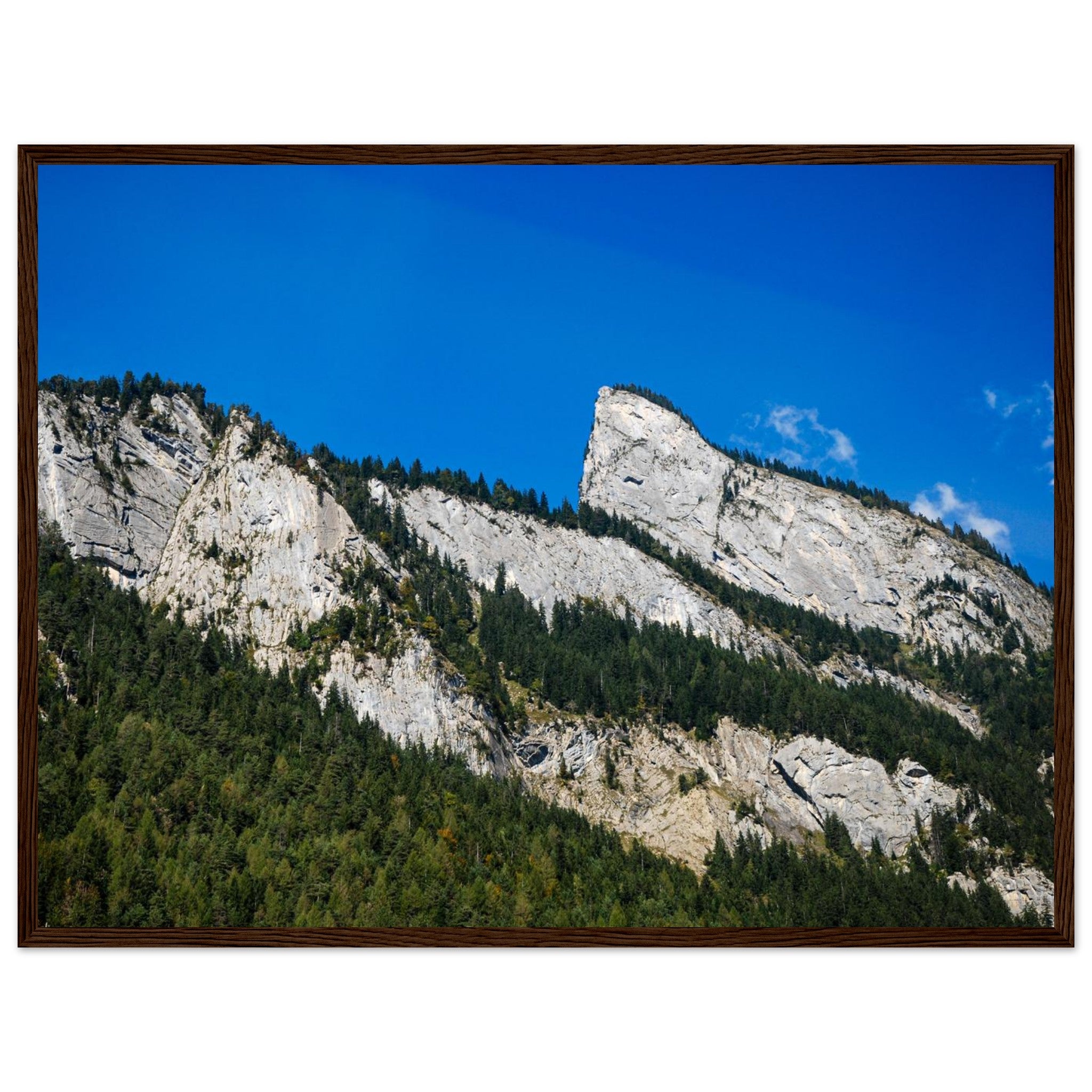 d4fb594a-31ab-43e5-8a3d-1095c445af43