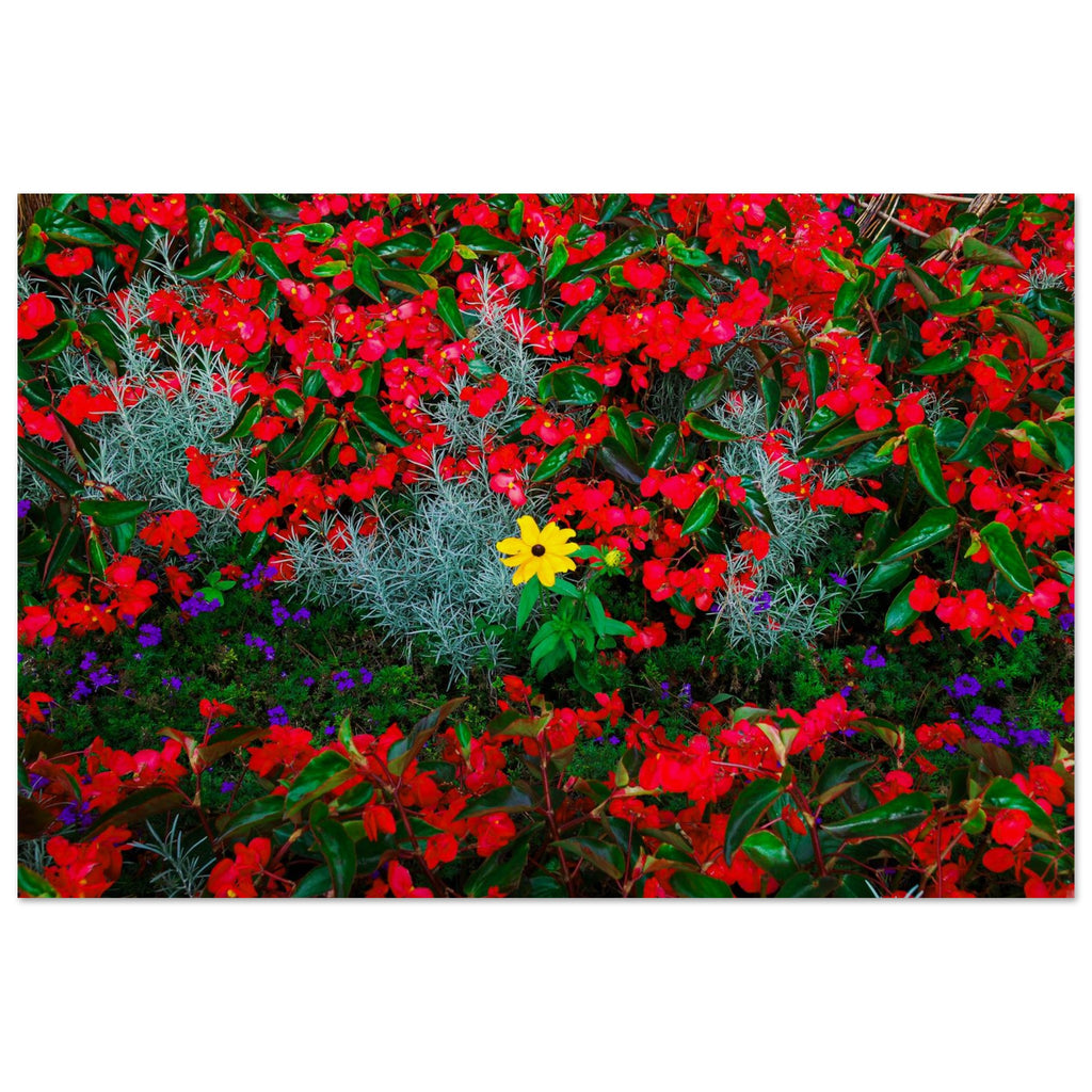 d5f40ed9-8e80-4e9f-a44d-aa2d9954f3ff