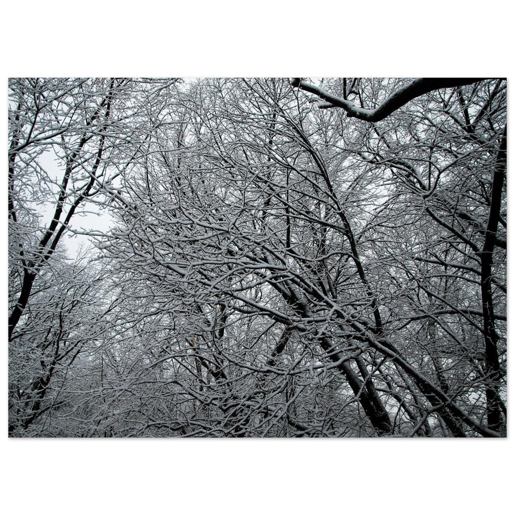 d659ed09-2bf4-4ac2-b191-1d265ea3afac