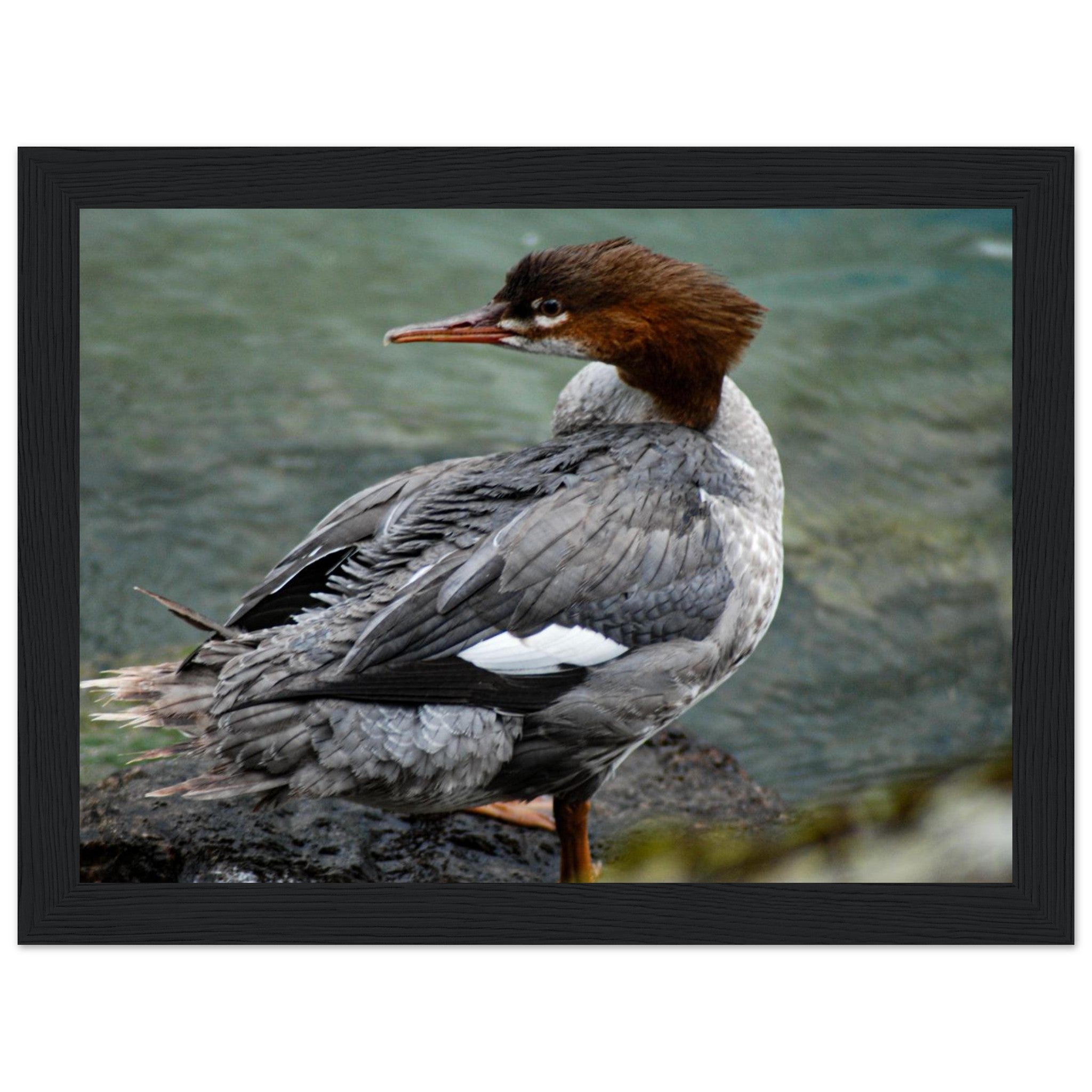 d6861aa9-f7ba-41aa-83eb-490f38668351