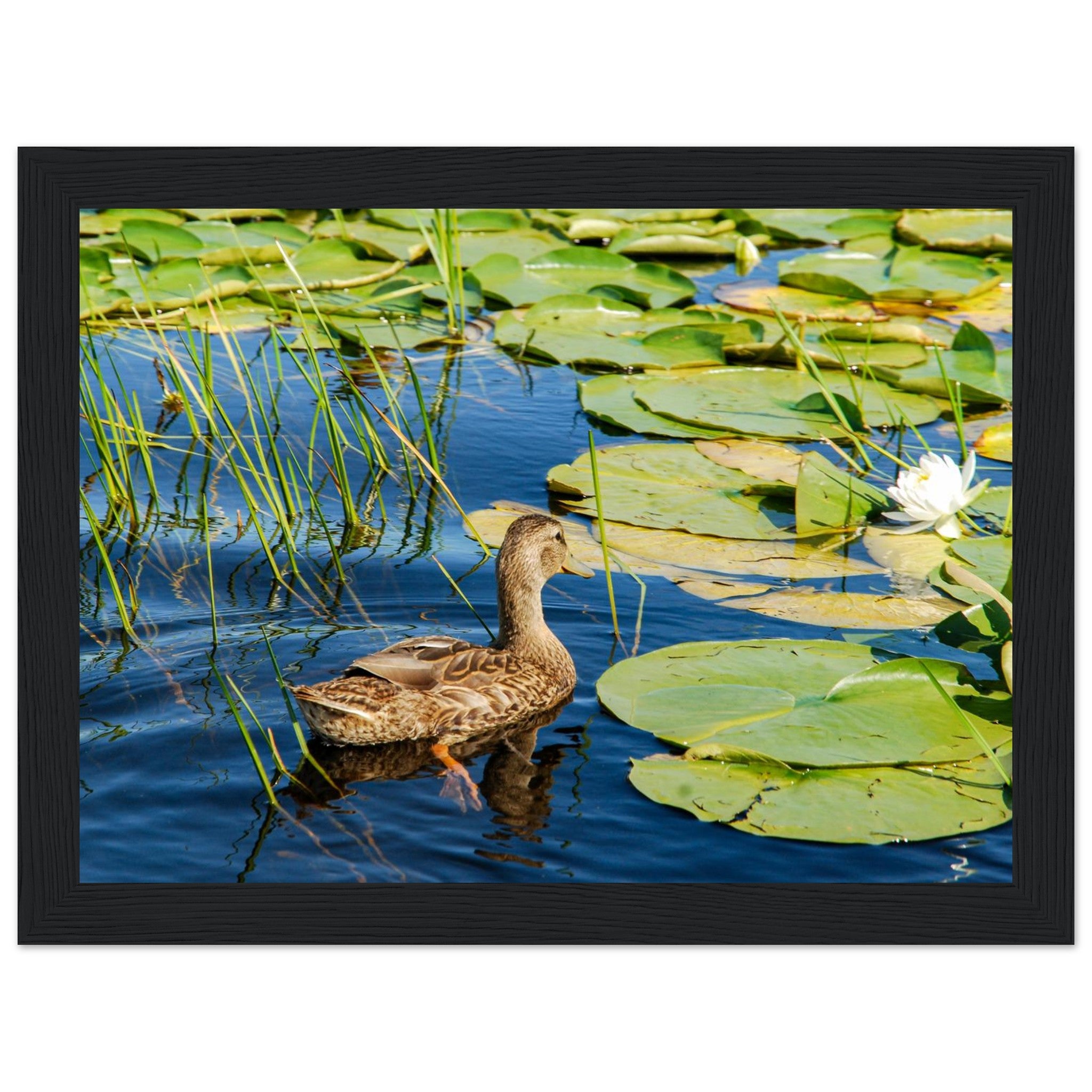 d6867584-1ece-4726-acf3-f19b8b94f37d