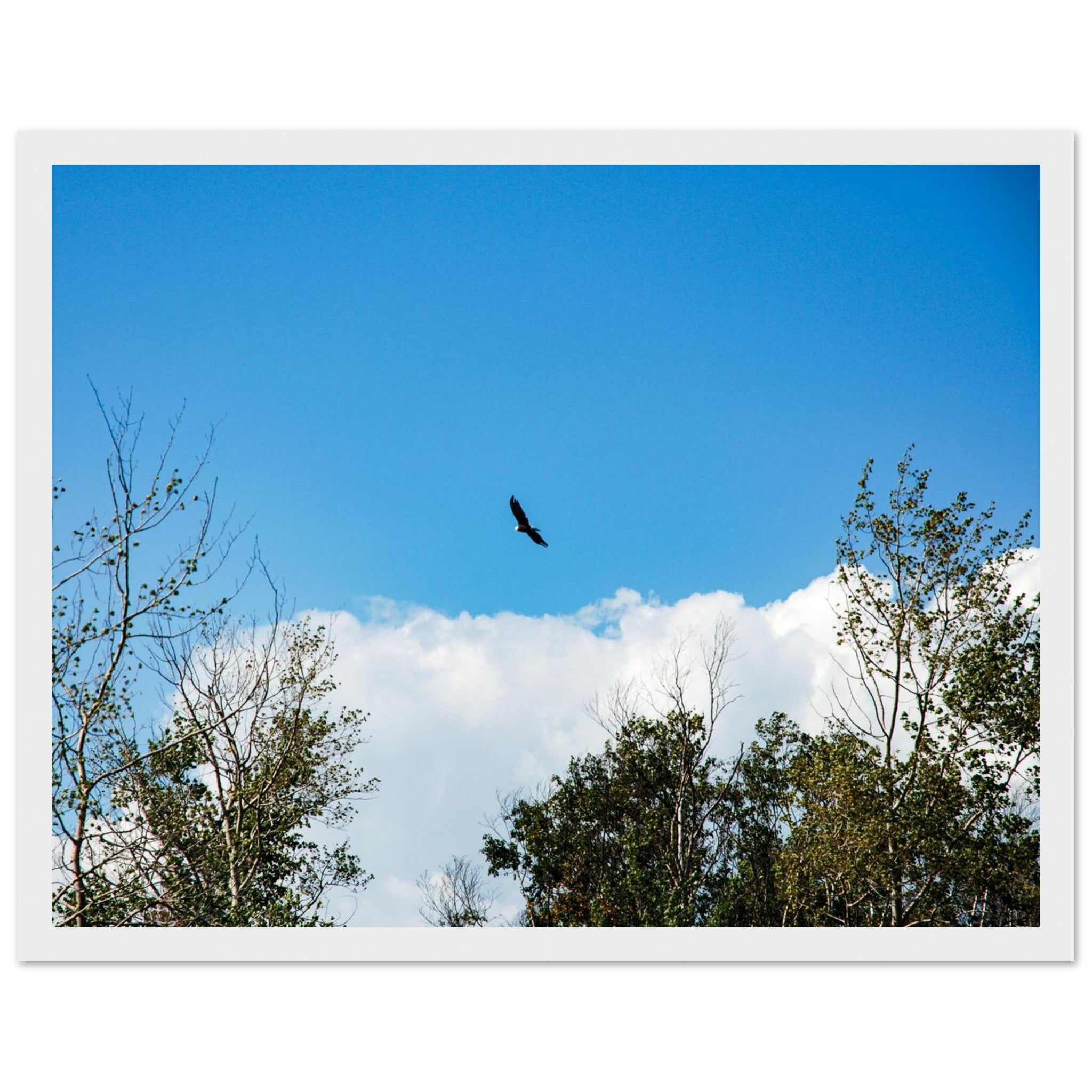 d6d4e0e2-aba2-4642-b60c-a19217950d66