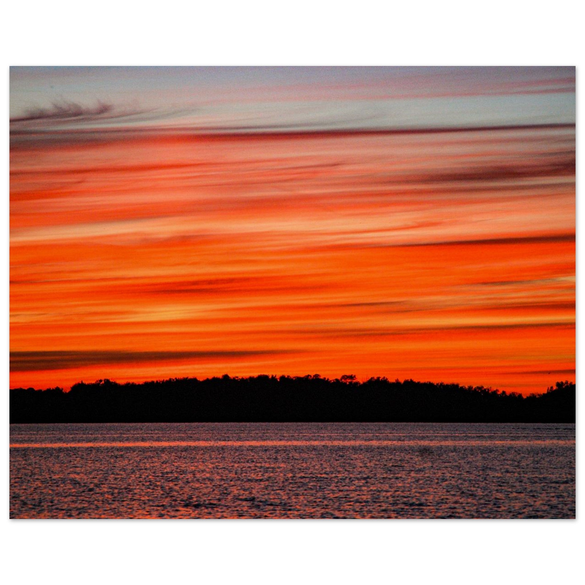 d6edcc2d-faf6-4949-9761-a667c7a57b05