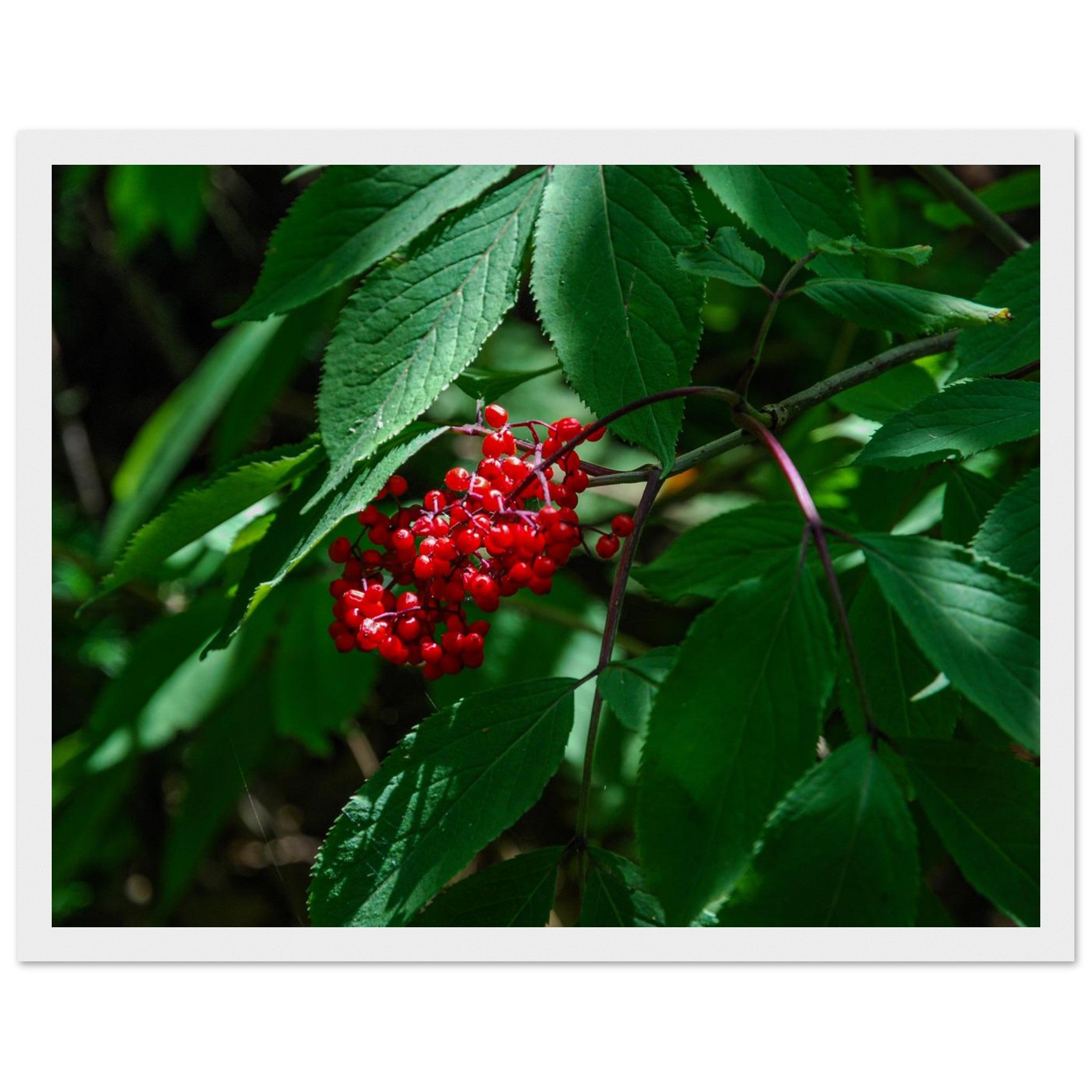 d827e113-78b3-4f2e-a4a7-43628bc559df