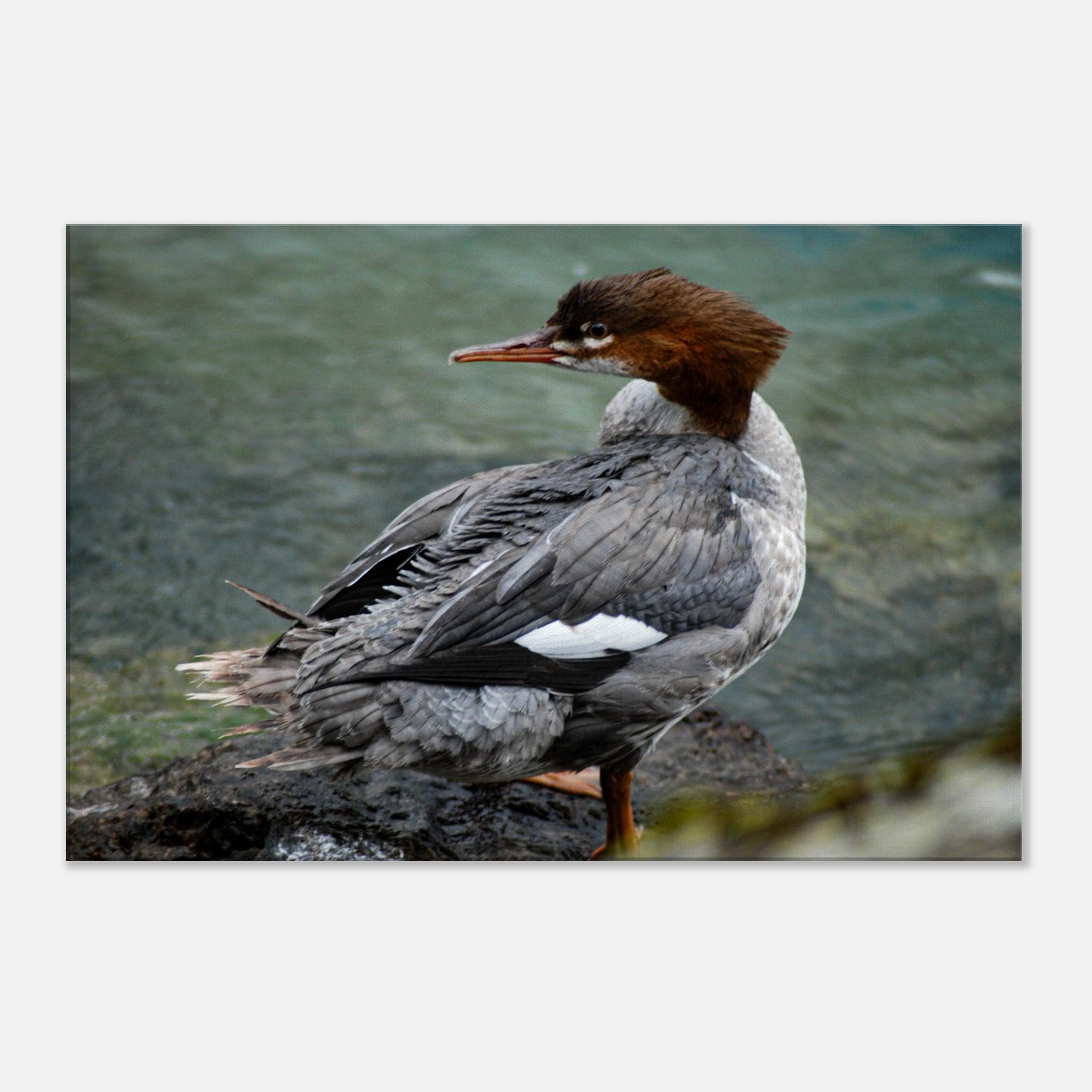 d829184a-e0ad-40e1-a871-4ab110cc40ad