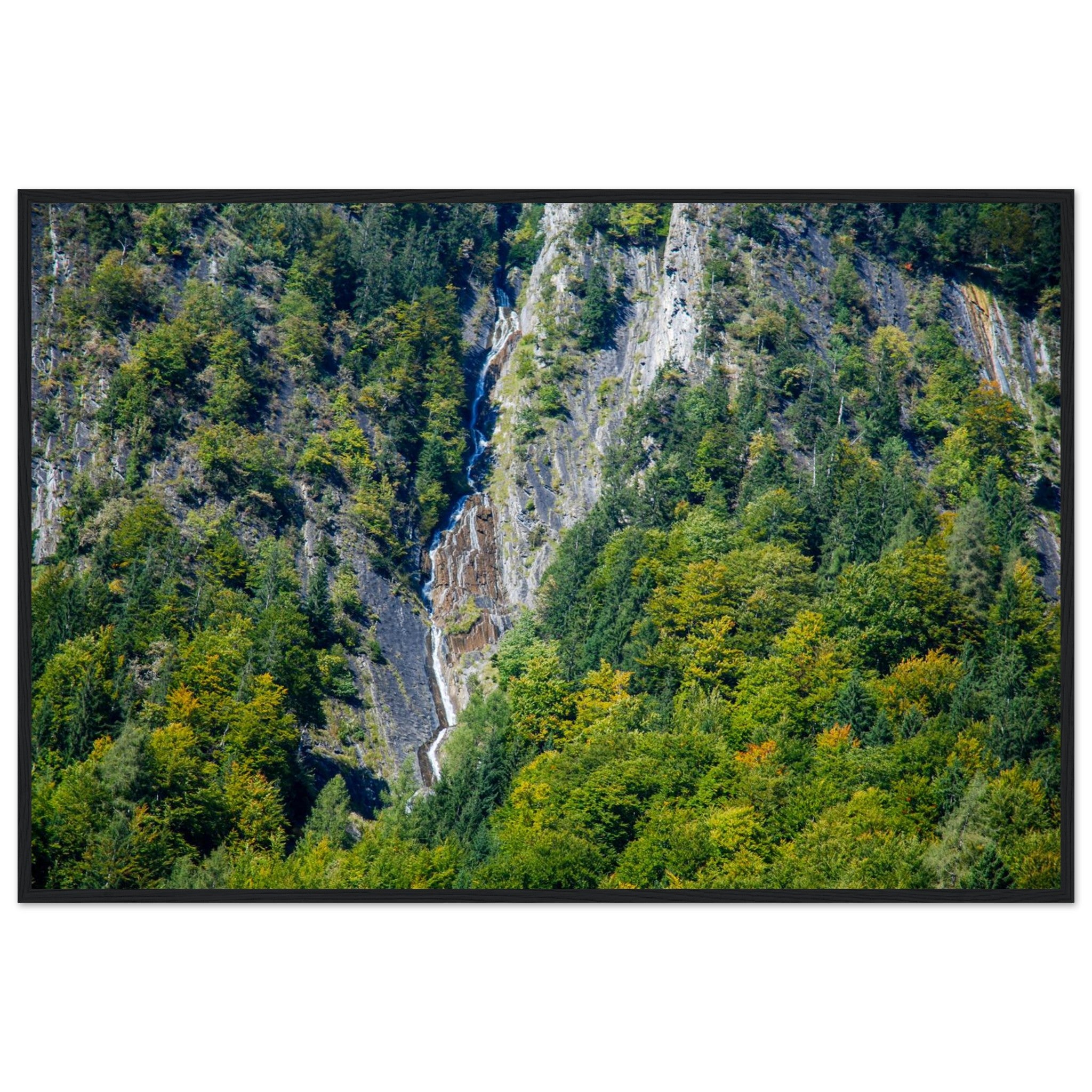 d8dd4fd8-f4b1-4b98-8461-202fff3b45ba