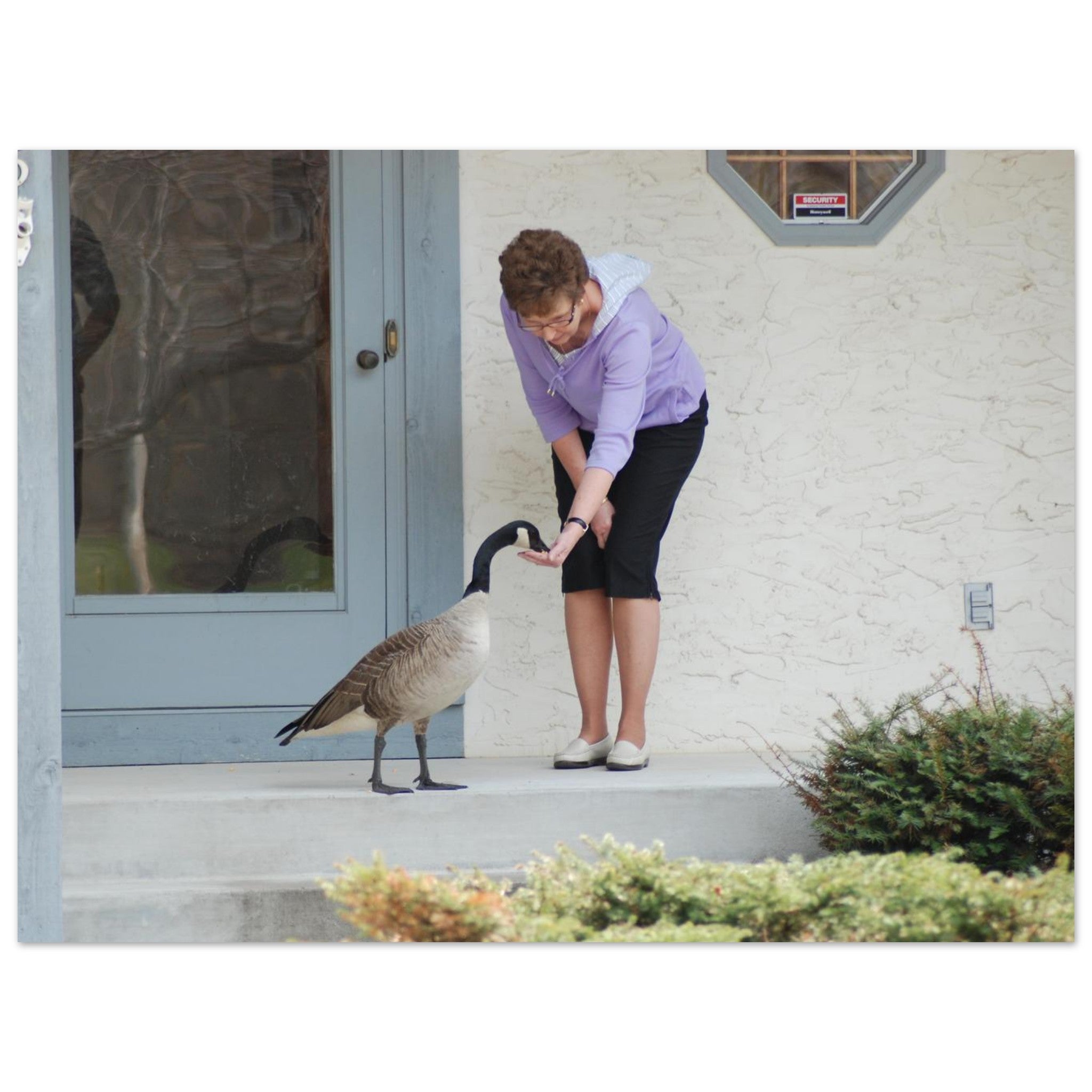 dacc539d-7f66-49e8-af7f-f08003fa89b1