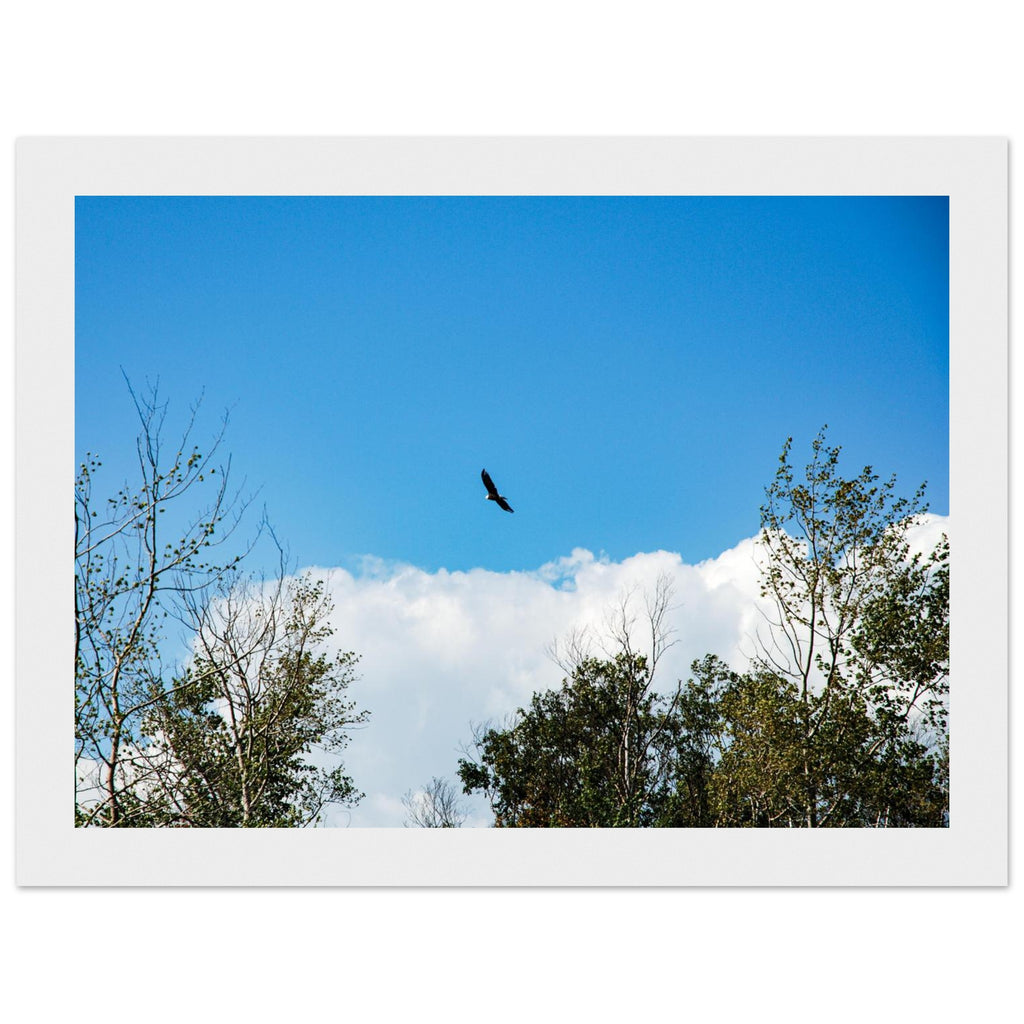 daccbbc5-0702-4be4-afbf-b70f4f2cdf2b