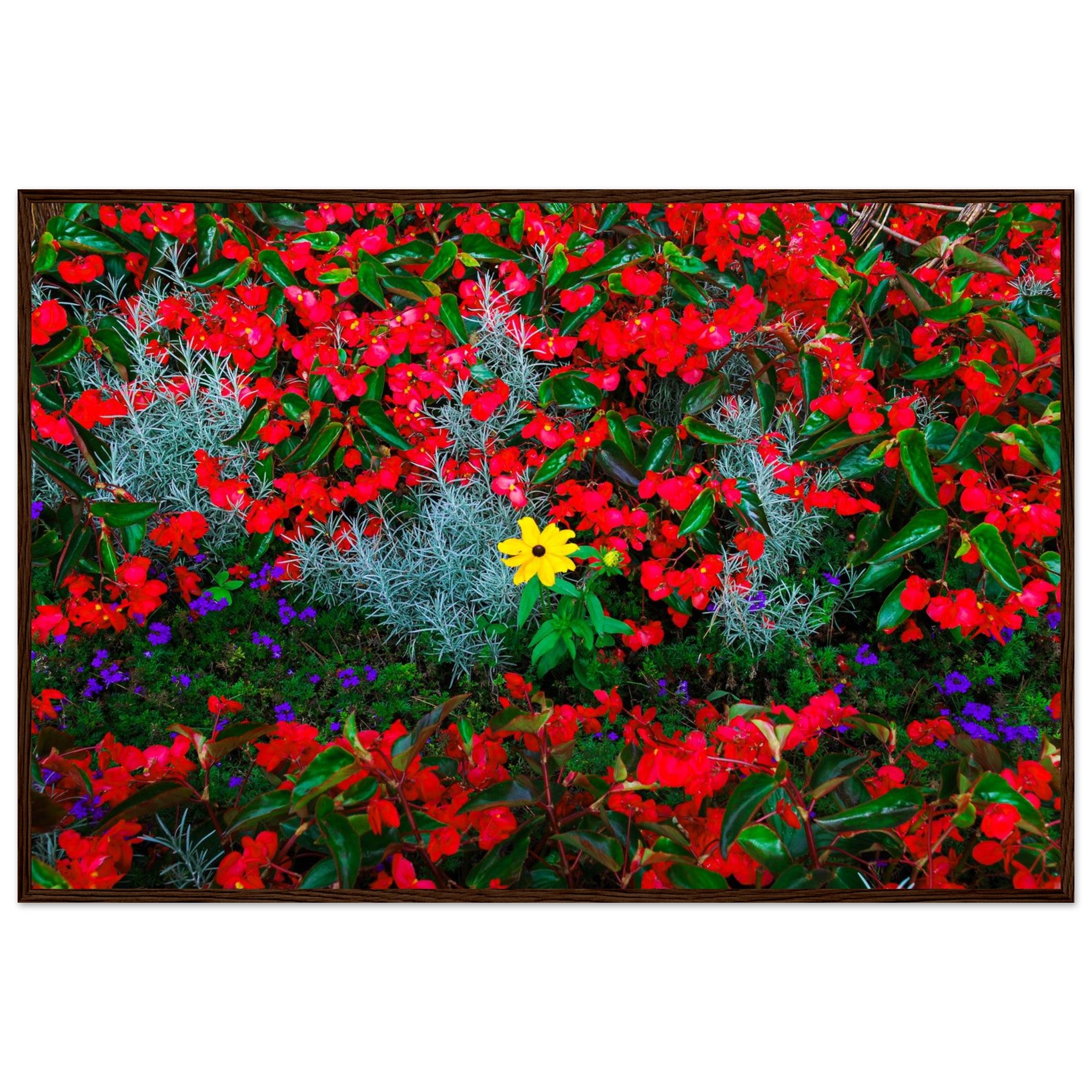 db16d67d-7c82-4c3a-8335-7e7f0c70858a