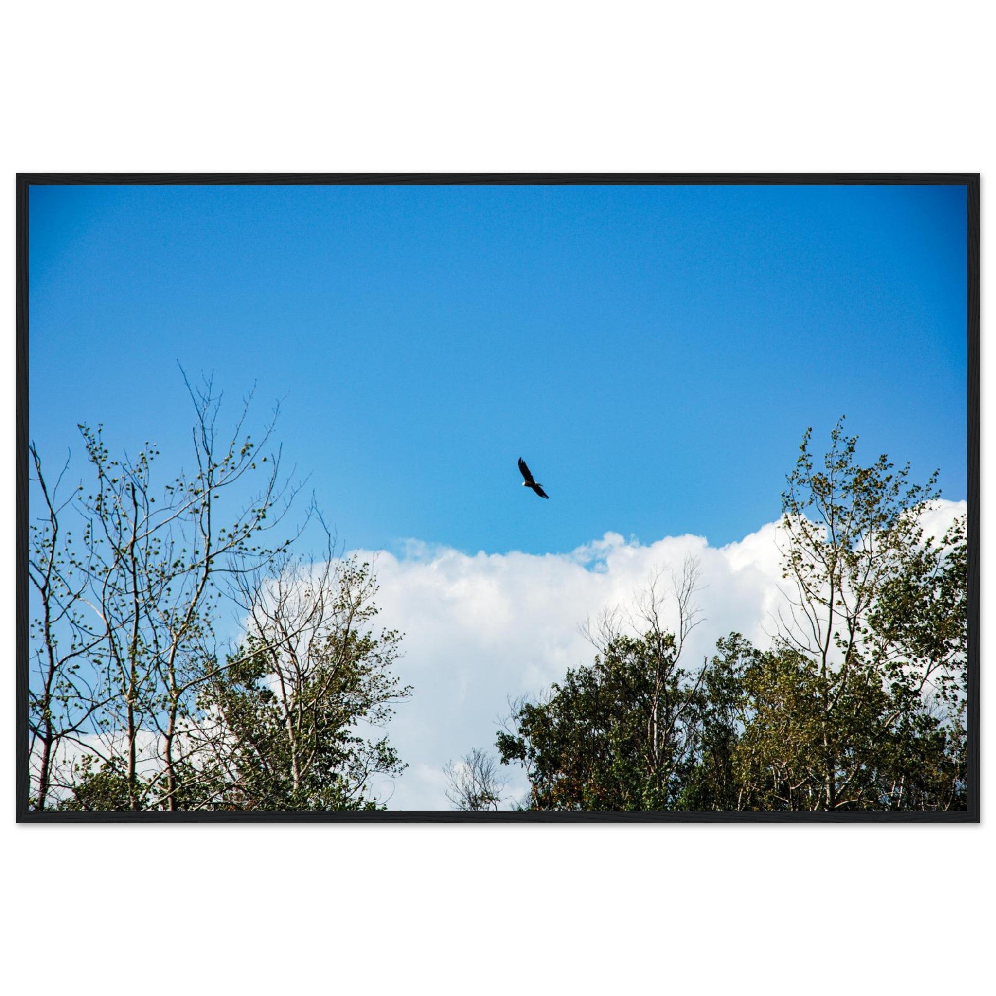 db717180-8eaf-4543-a749-aabb5184f30b