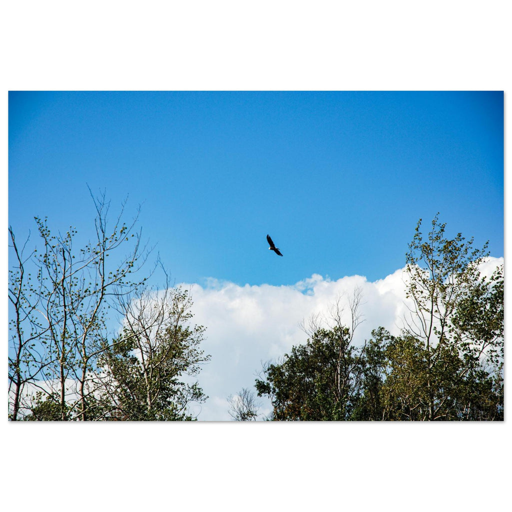 dc61867f-7e88-4df5-8e8b-f6c8c30500a6