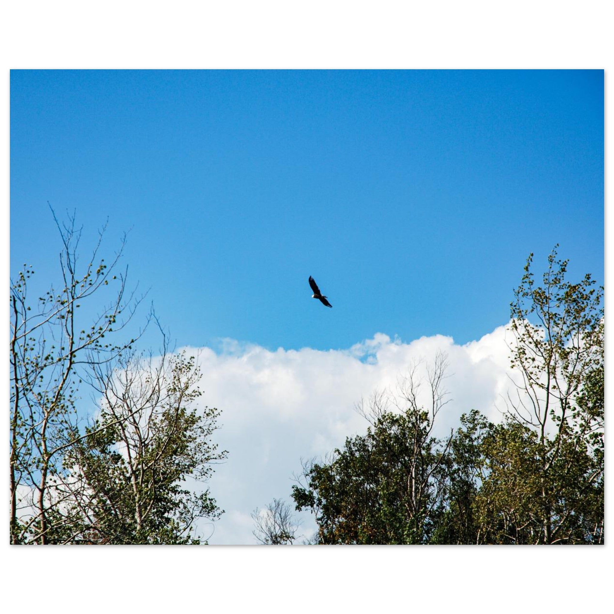 ddeb2726-87da-4b22-a5df-40deff014215