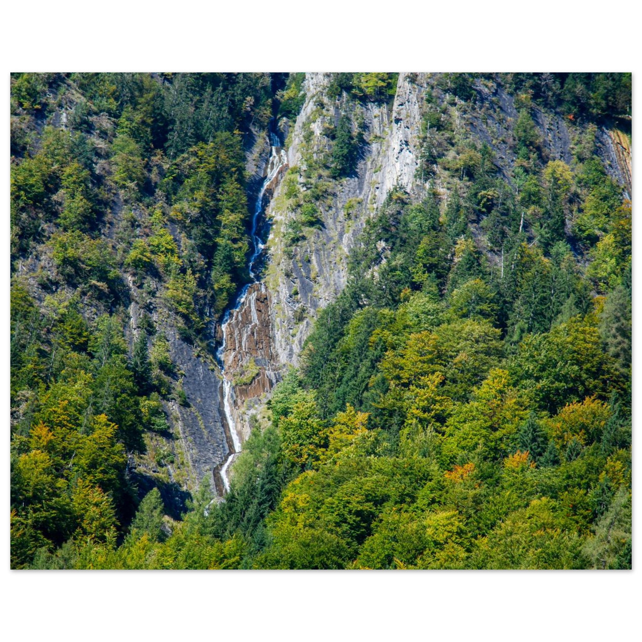 df441f16-c6ab-4337-87ba-79722217a11f