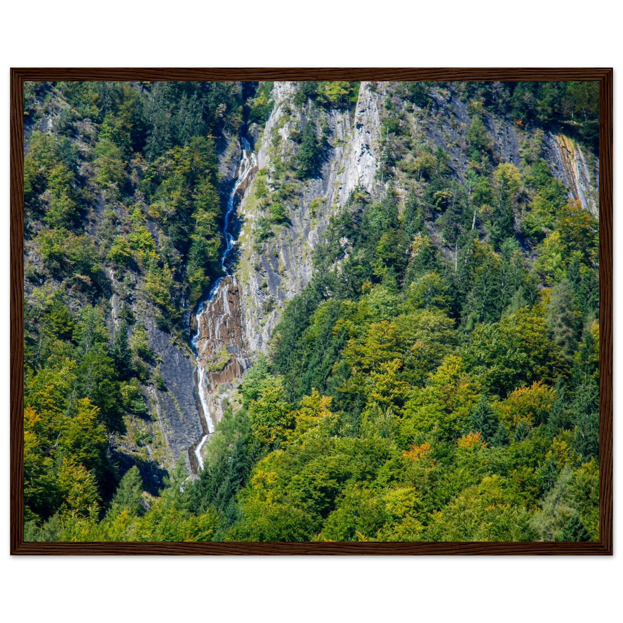 dfdfb4f1-7b2f-44f9-90bf-0e52df50d5ab