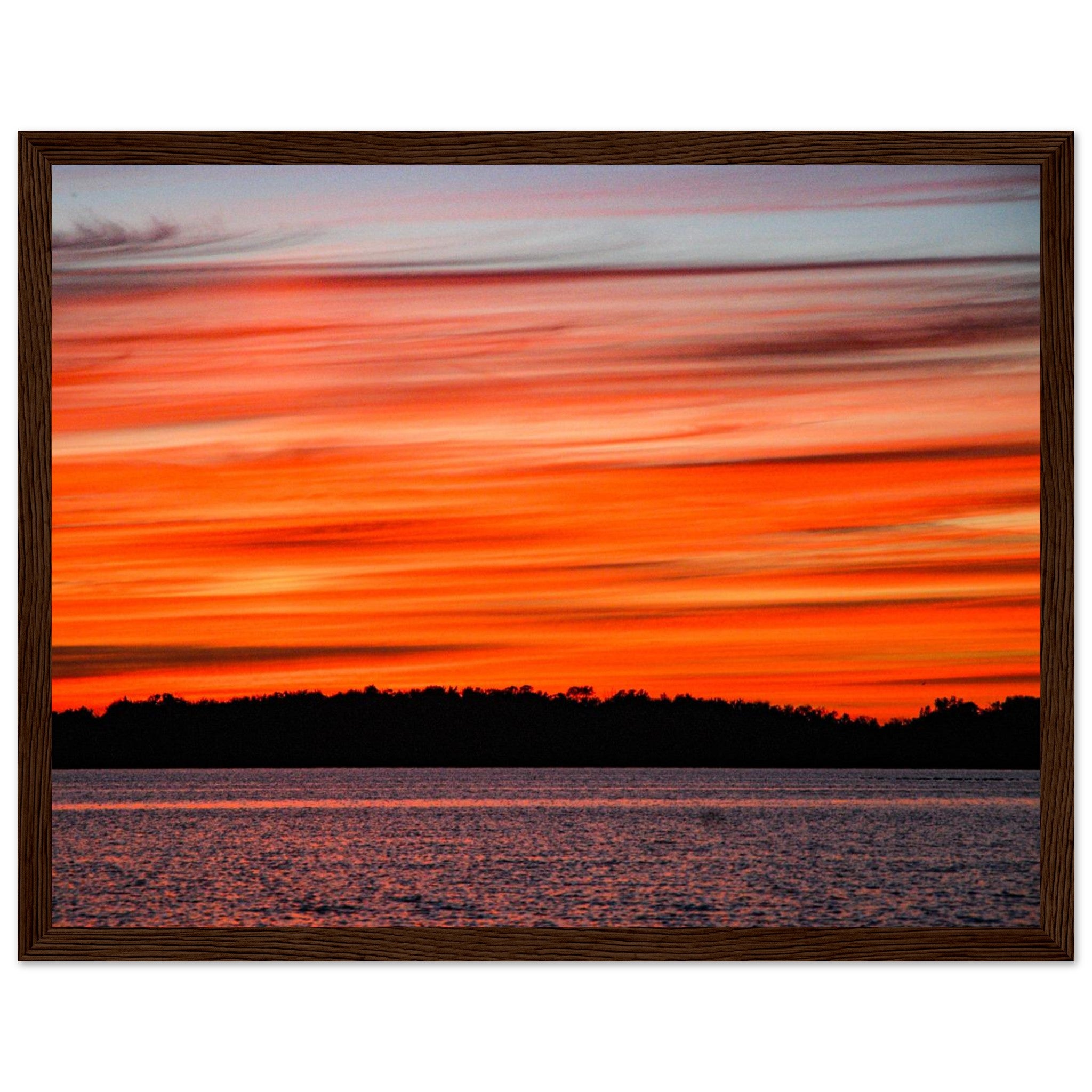 e3869cec-d85d-439f-b5e2-42b01a82f7e2