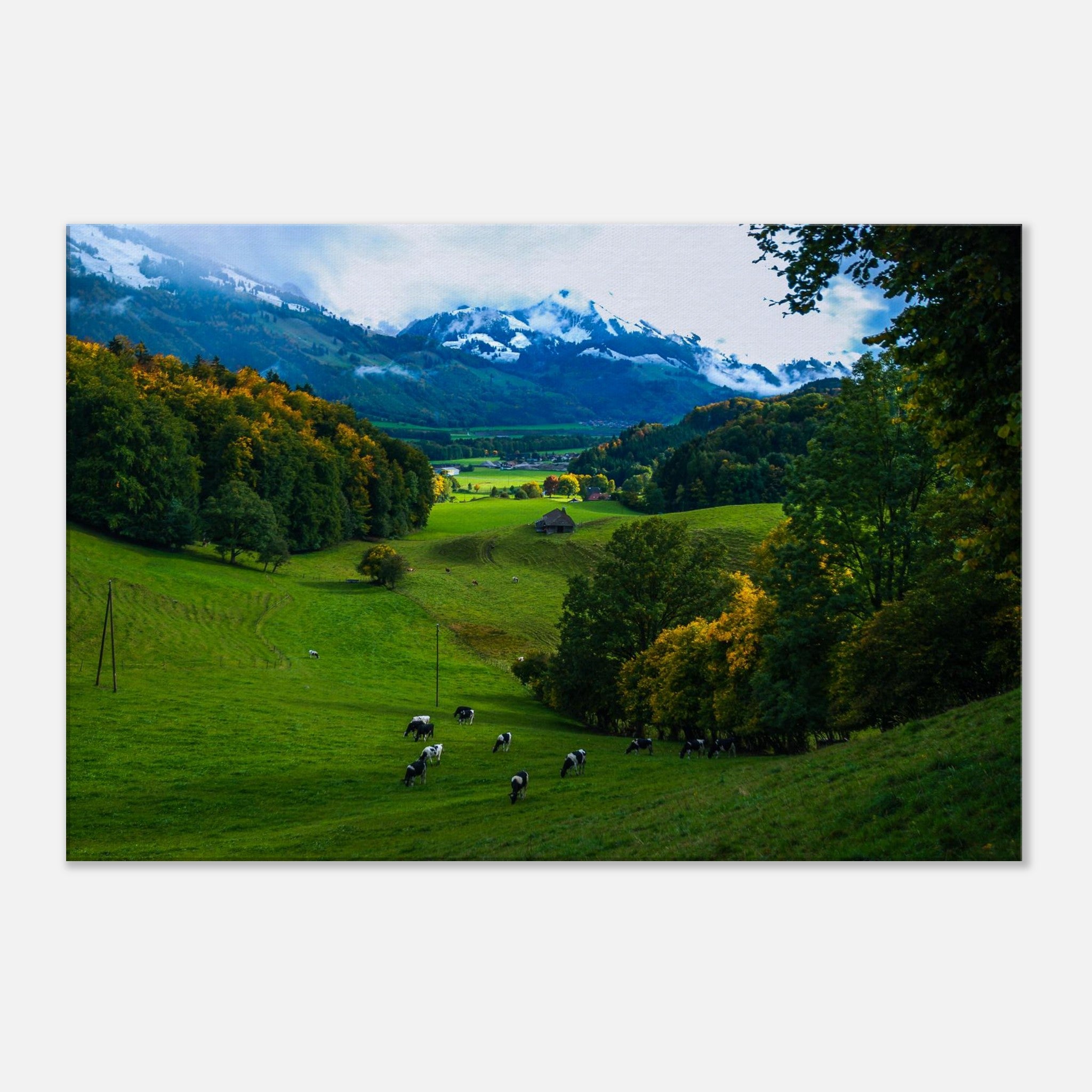 e3e4b016-5cda-4dea-9f70-e86dced4f955