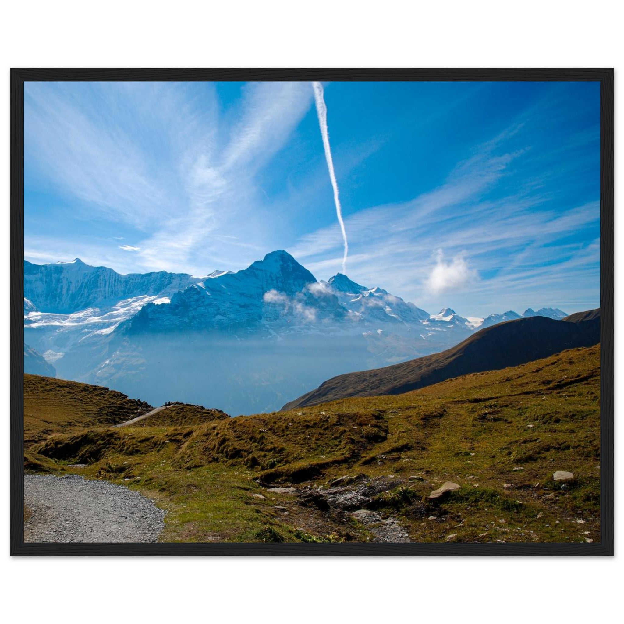 e3ee0bad-3298-44ea-824a-42679b7a7b2b