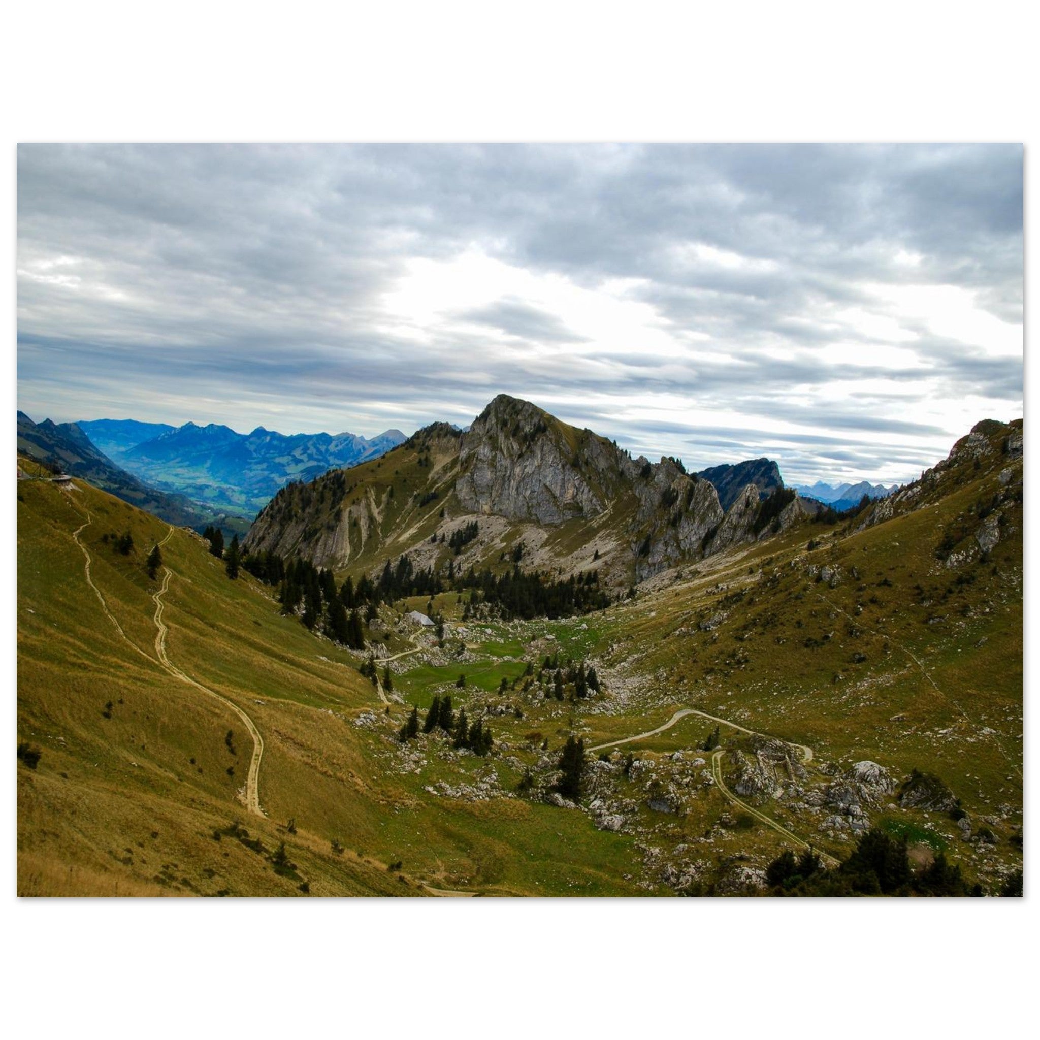 e476704f-be75-41ff-b5d5-51b3305f4beb