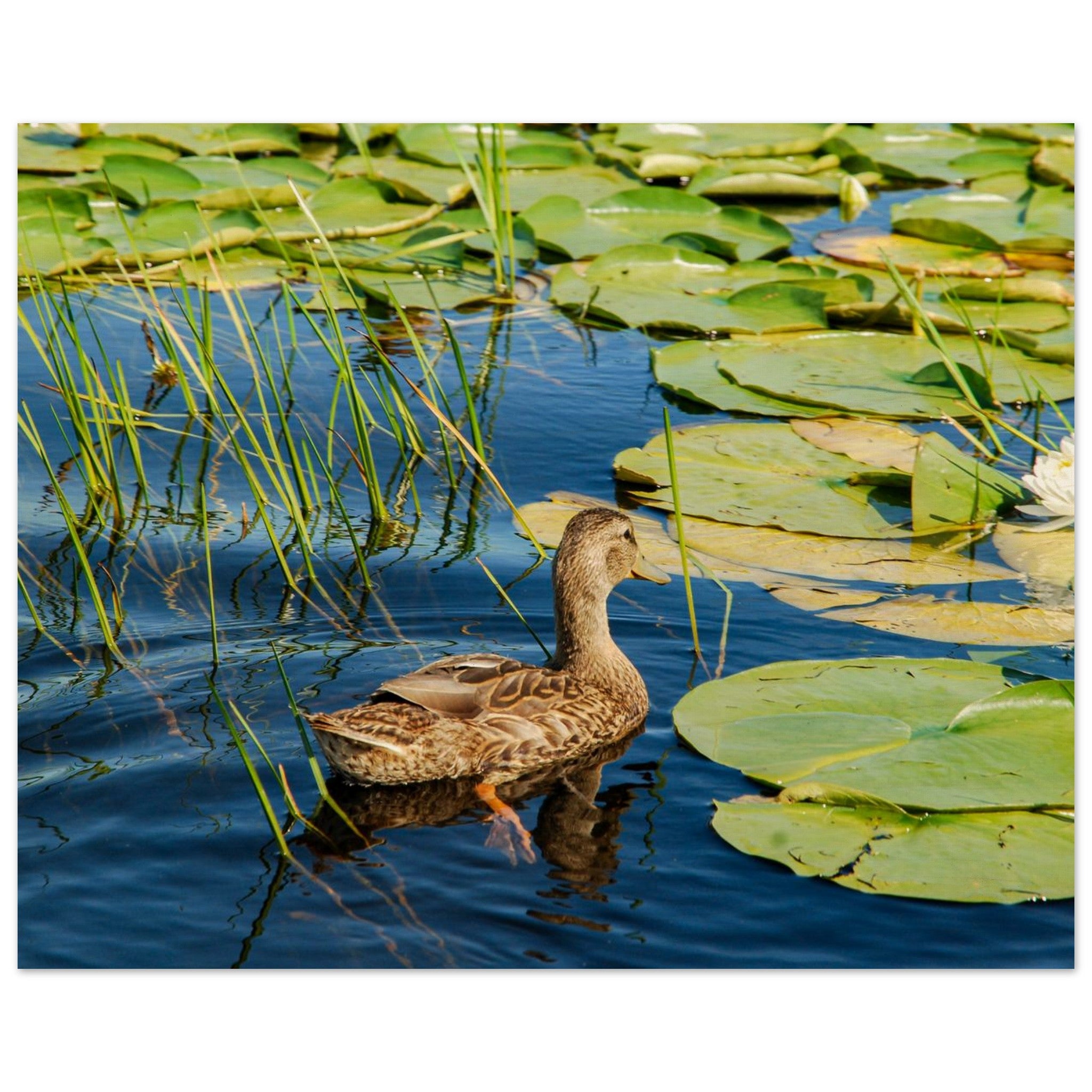 e69e3737-3d3b-4a8c-bf29-aa47d4159bd3