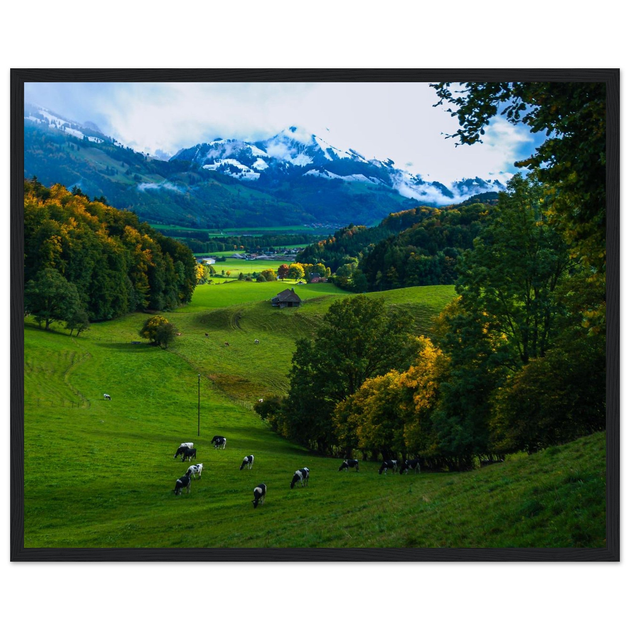 e6f19ea7-c9a9-49d0-b6a7-dfdf115c207e