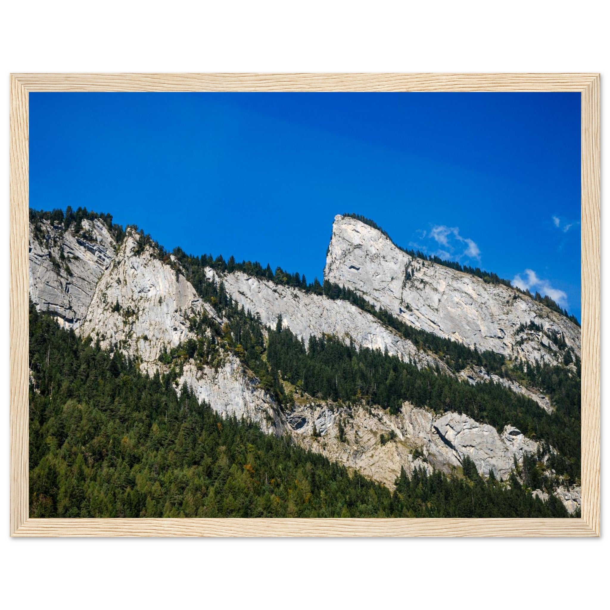 e76804bc-d0fb-4669-b6b5-60b8631c52f3