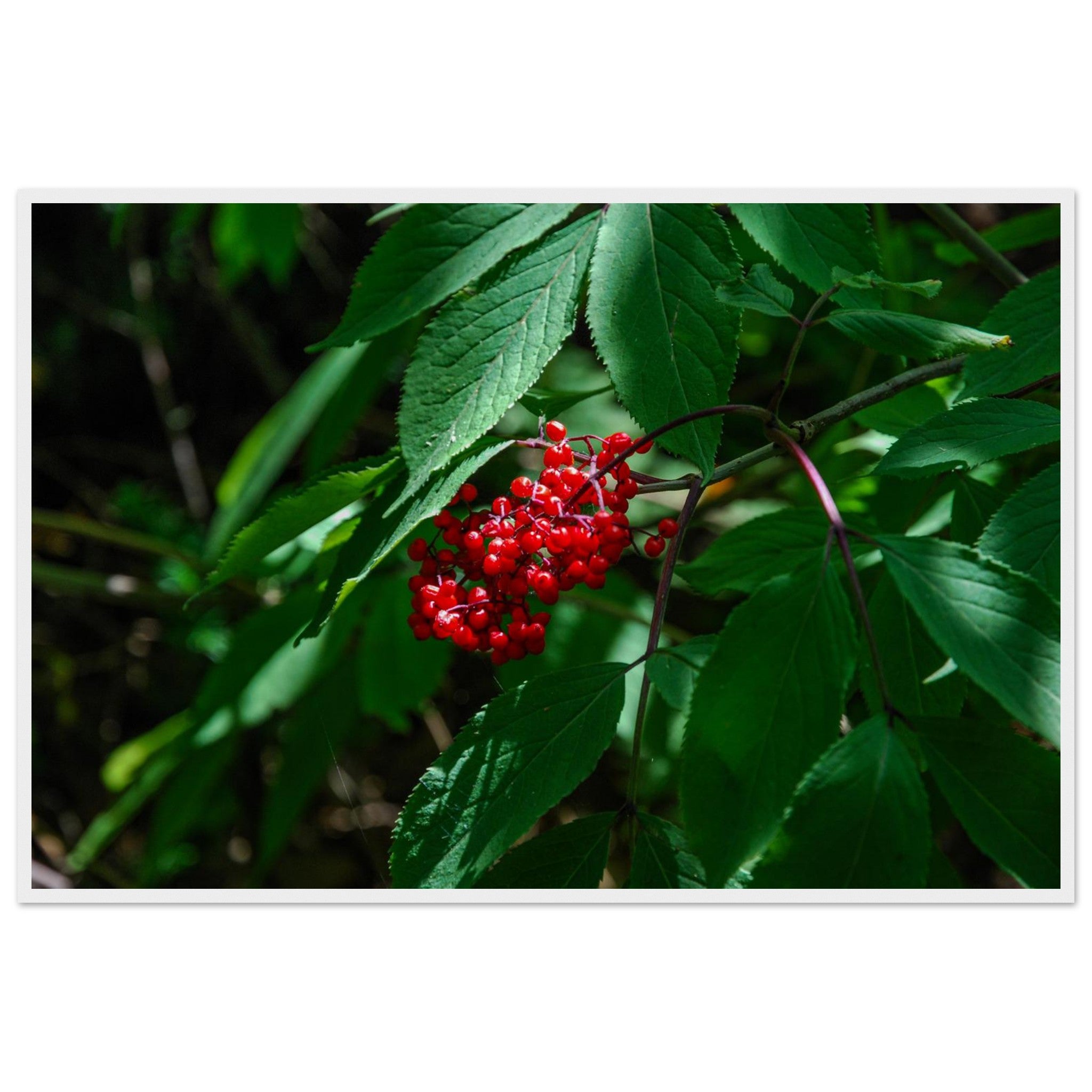 e773b87d-c60c-4c8d-9c17-21008126cc26