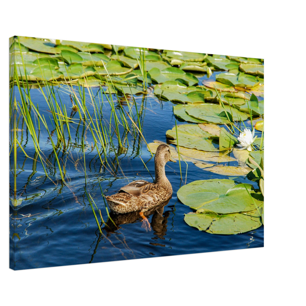 e873bc05-42a0-4663-98ad-6794ce2cad6e