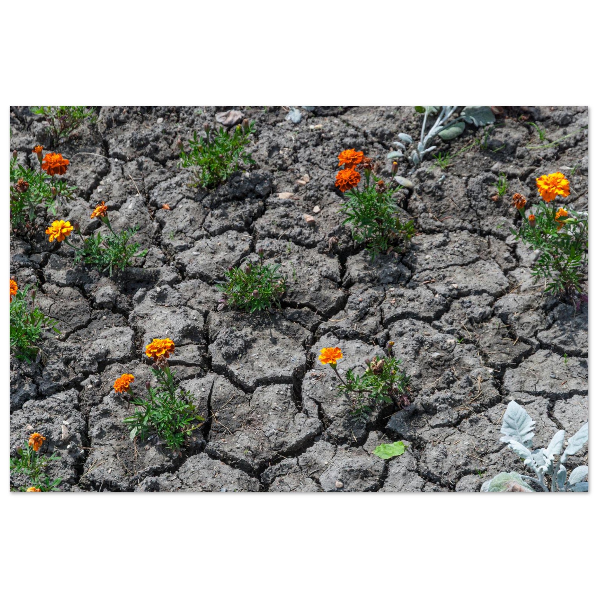 e8fae50c-03eb-4cc7-afed-bb1a918db4b6