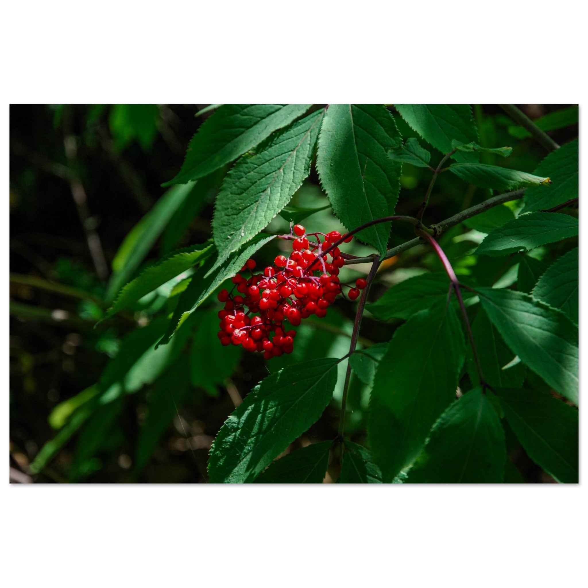 e9332548-3c73-44cc-8d05-d836c3818943