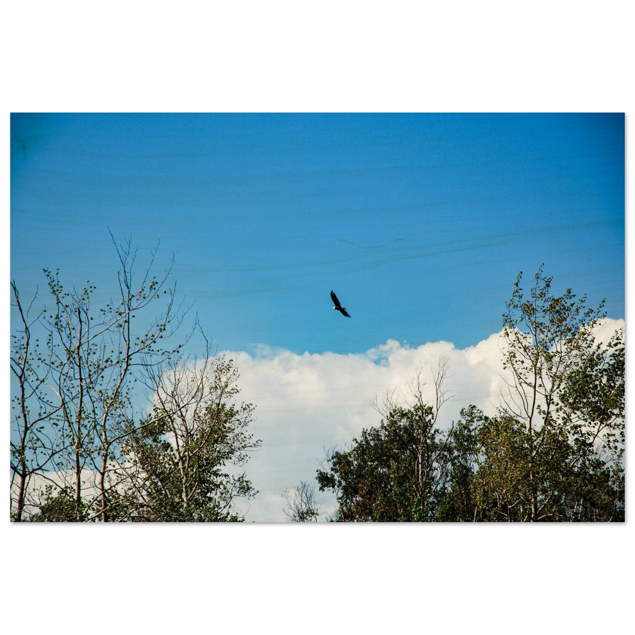 e99026fa-0b54-4deb-a679-828f3fa6b32a