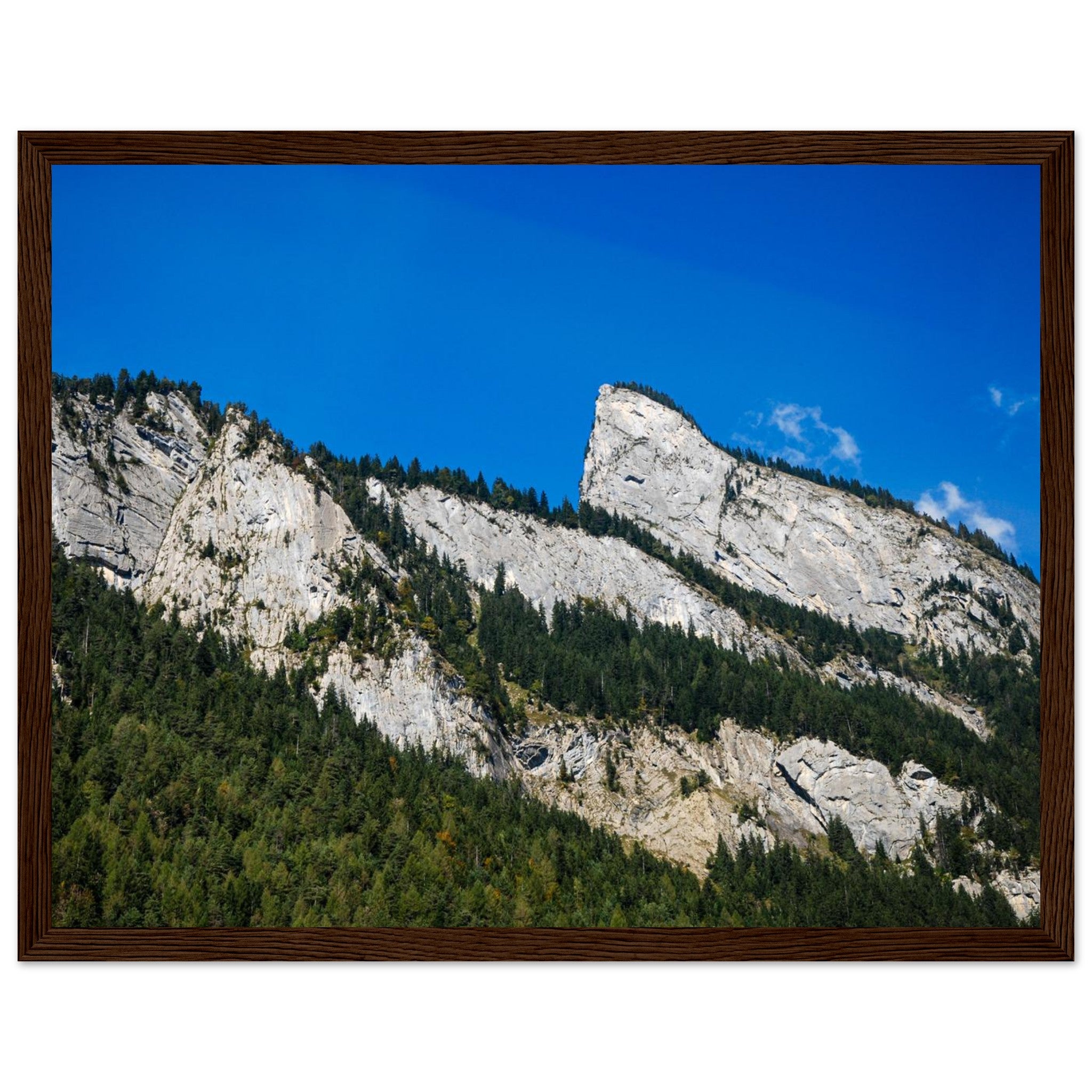 e9cc7b0a-348d-43b3-bf13-fe5f42486a7d