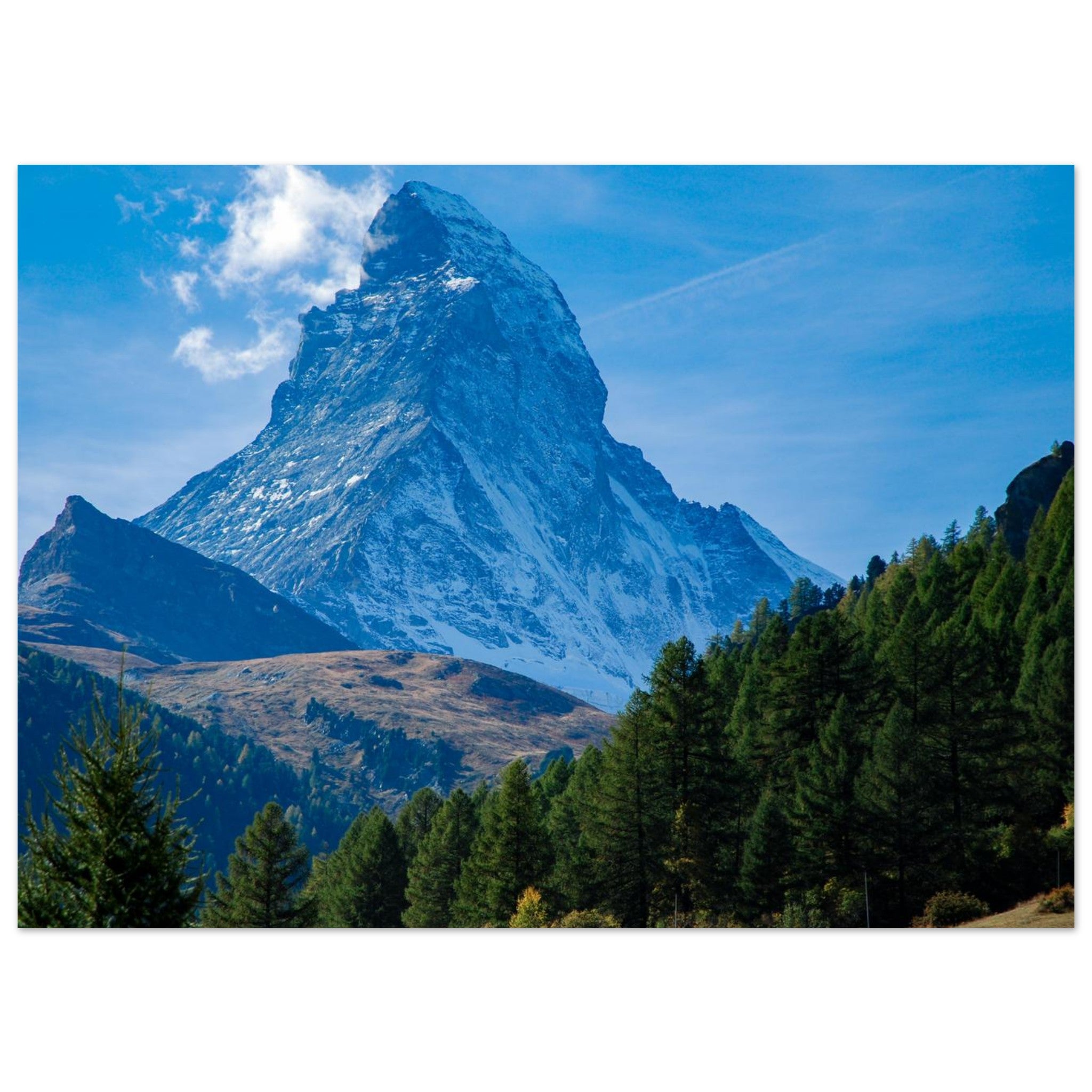 e9fc911b-7848-42f6-81d8-f2b735c52866