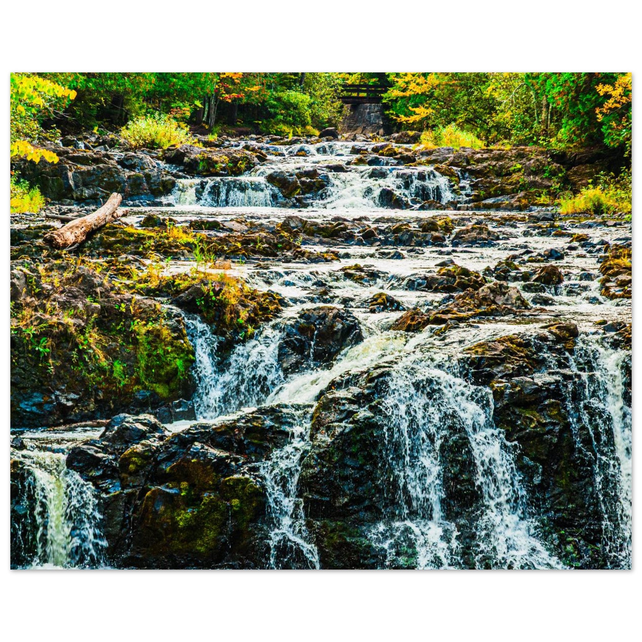 ea104707-1238-4356-bc00-b12ee690d005