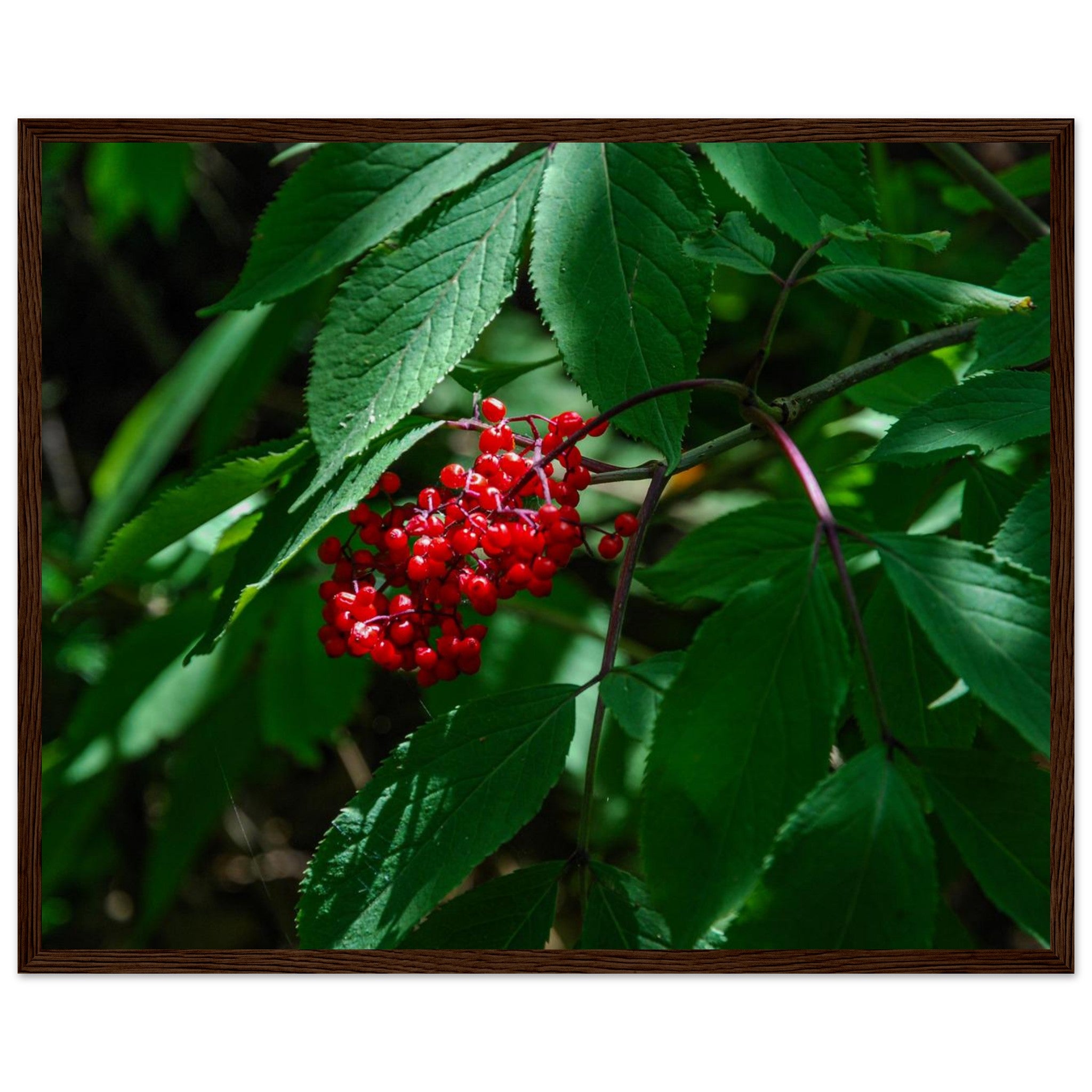 ea84c2c2-e0ff-435a-91e5-229fb9ed6119