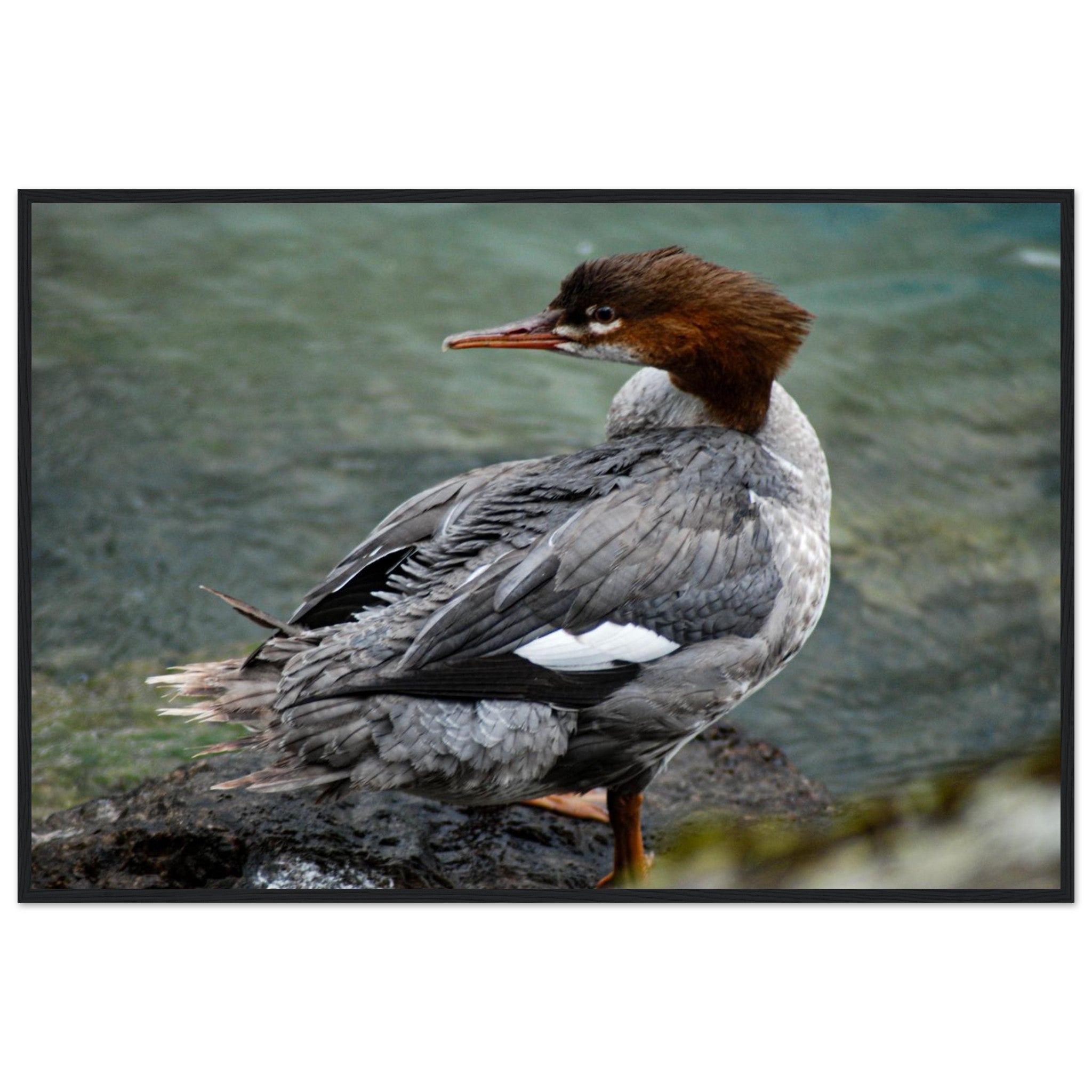 eb4c6681-5367-4664-abd7-2e0b770aaba8