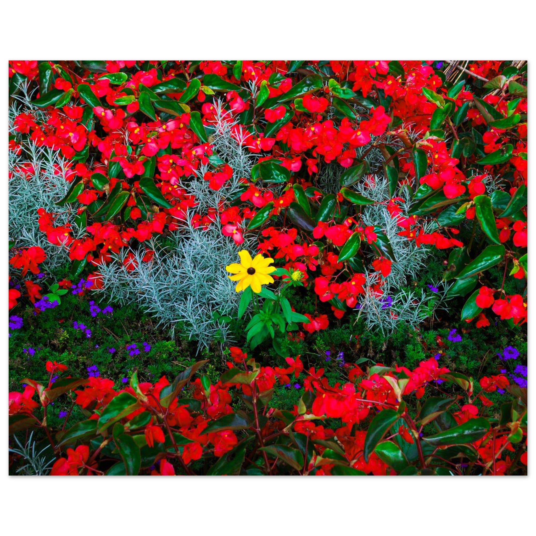 eb5c1f7e-e1ae-4ec6-88f3-b13430edde10