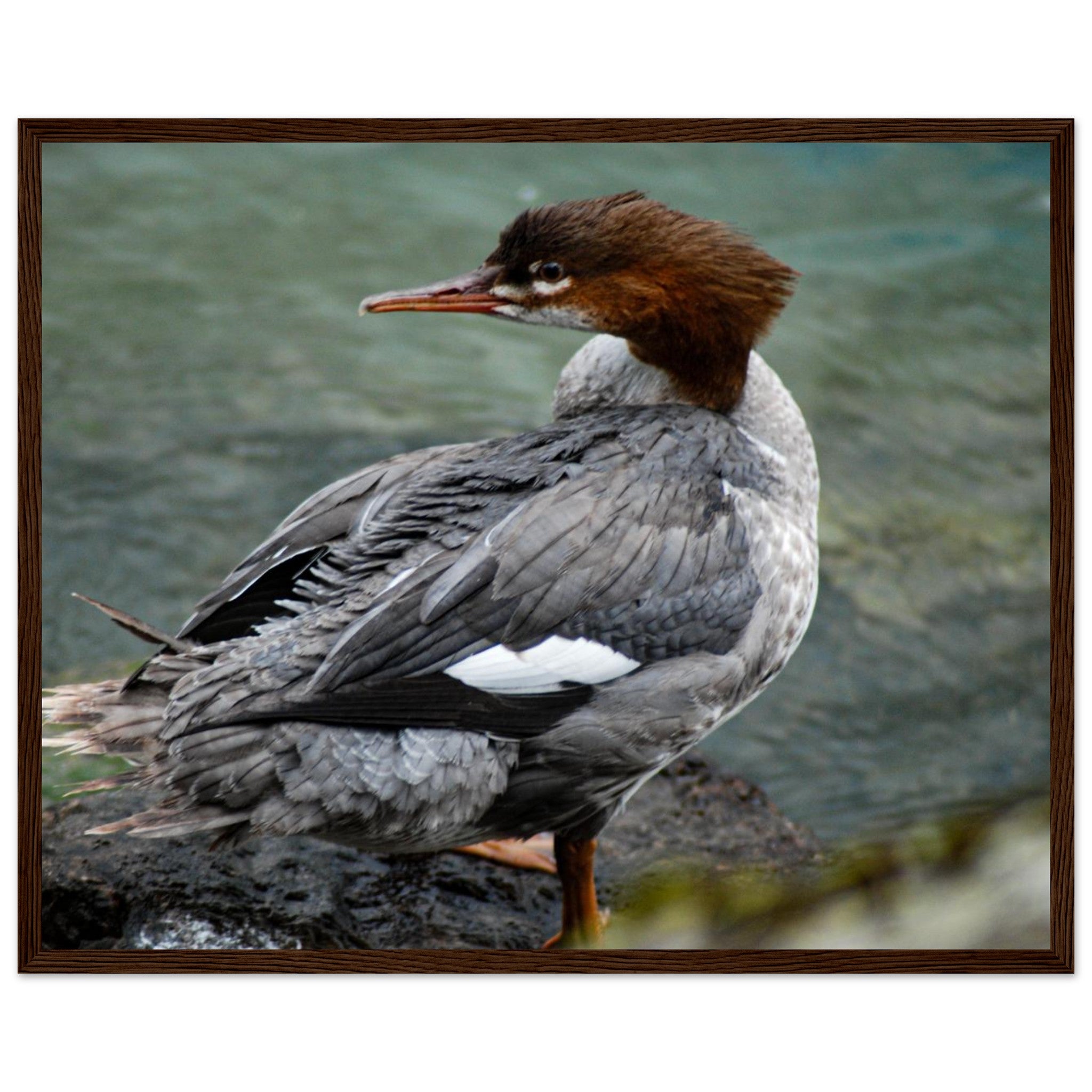 ec701e8d-ce3c-4fad-884c-a7e6a0dc60e5