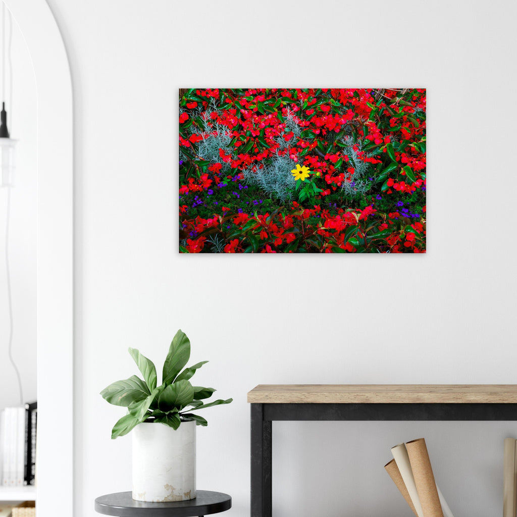 ec93ddfb-e7b8-41ec-8756-c77793f9e5cf