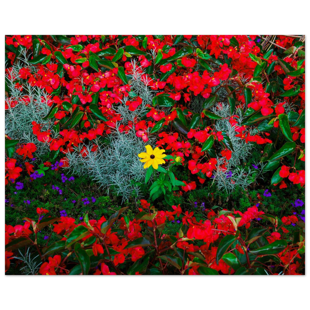 ed337a22-da0c-412c-9253-23017b471a24