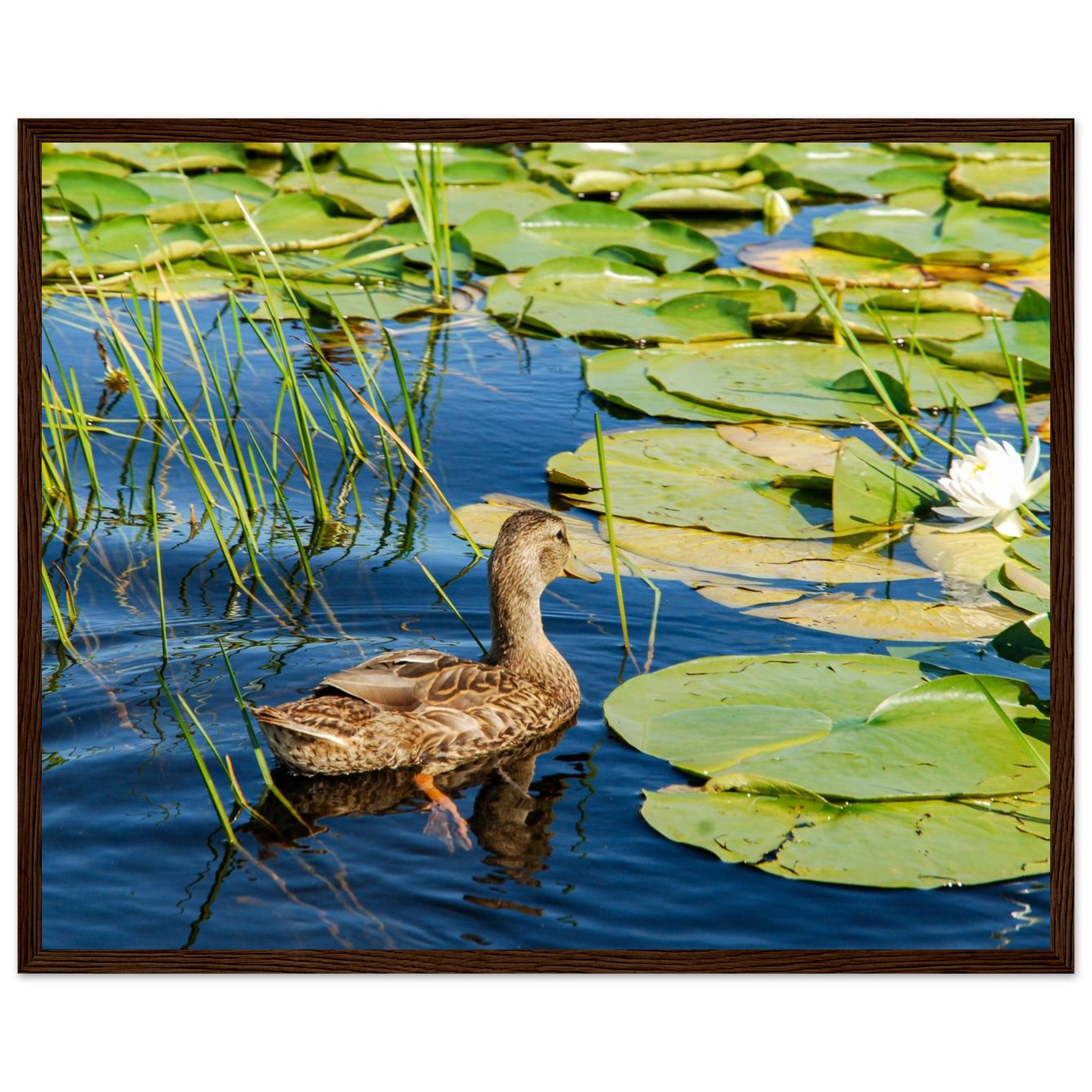 ee20a879-abac-4534-9745-5334cb4432ec