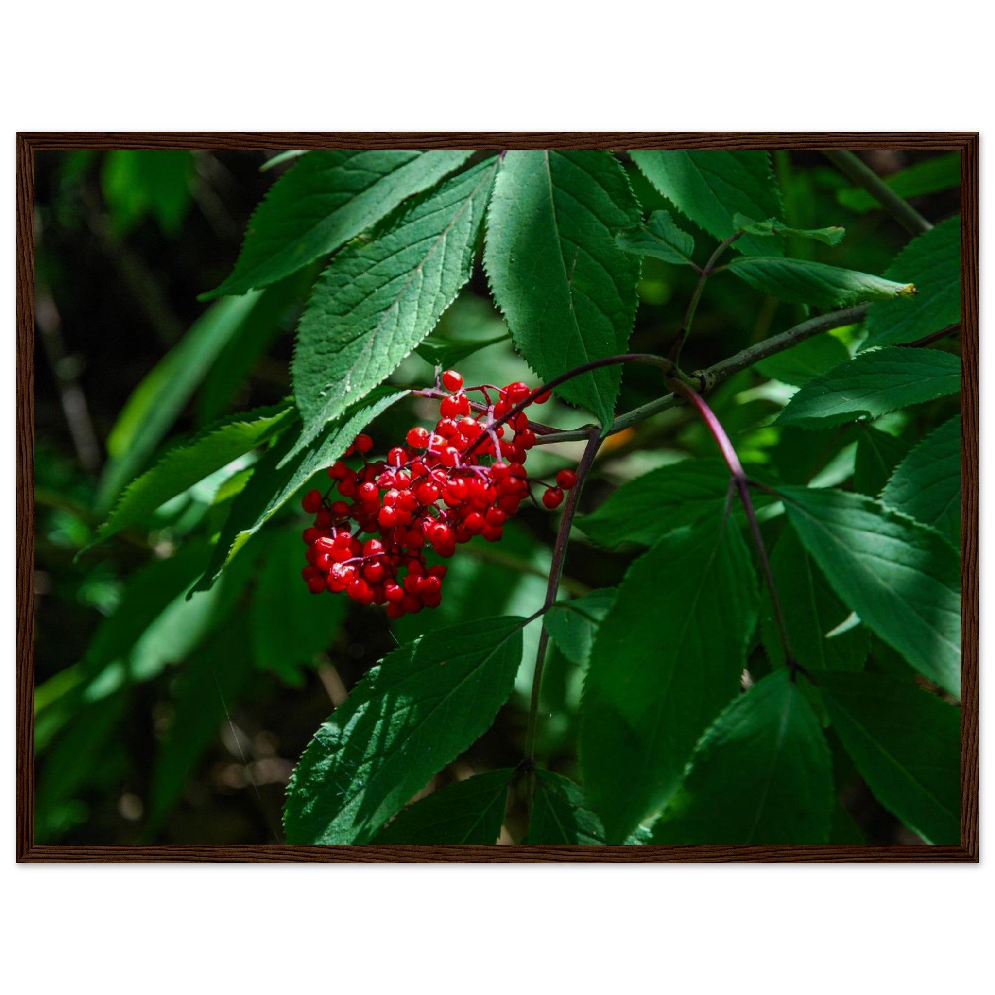 f09d797a-cf88-4564-97bf-c06f1993e82d