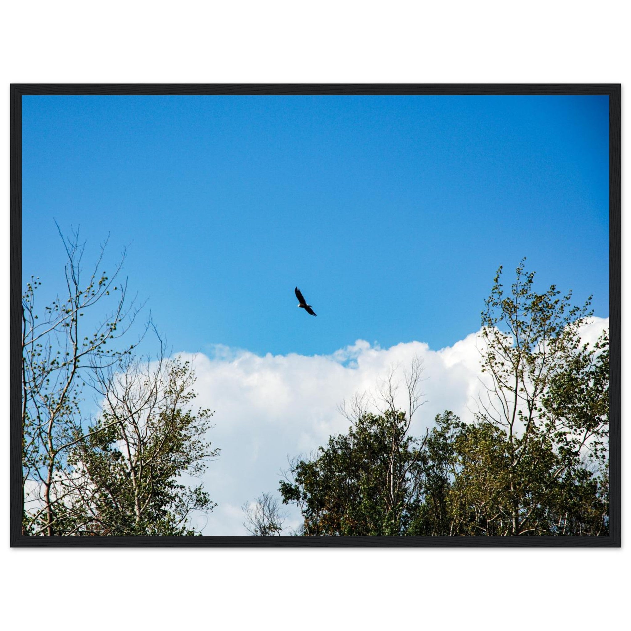 f23d55b1-4e7d-4f5e-8eb9-6c1c71869621