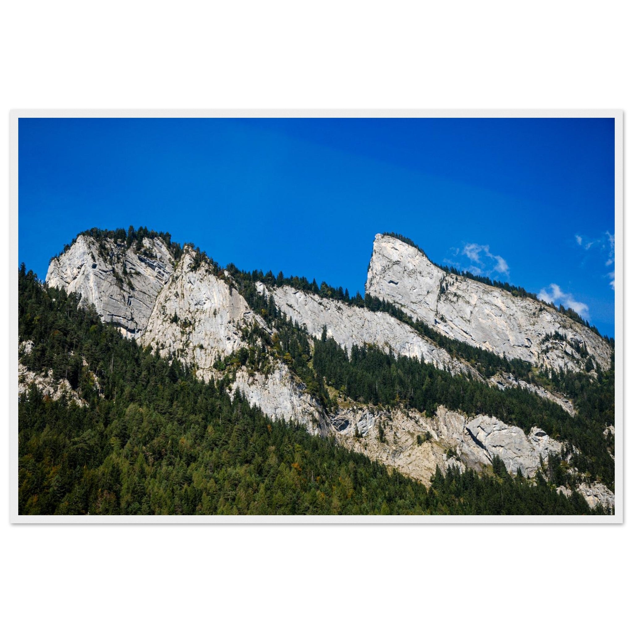 f2a927d7-8698-489e-968c-f019c9a411e9