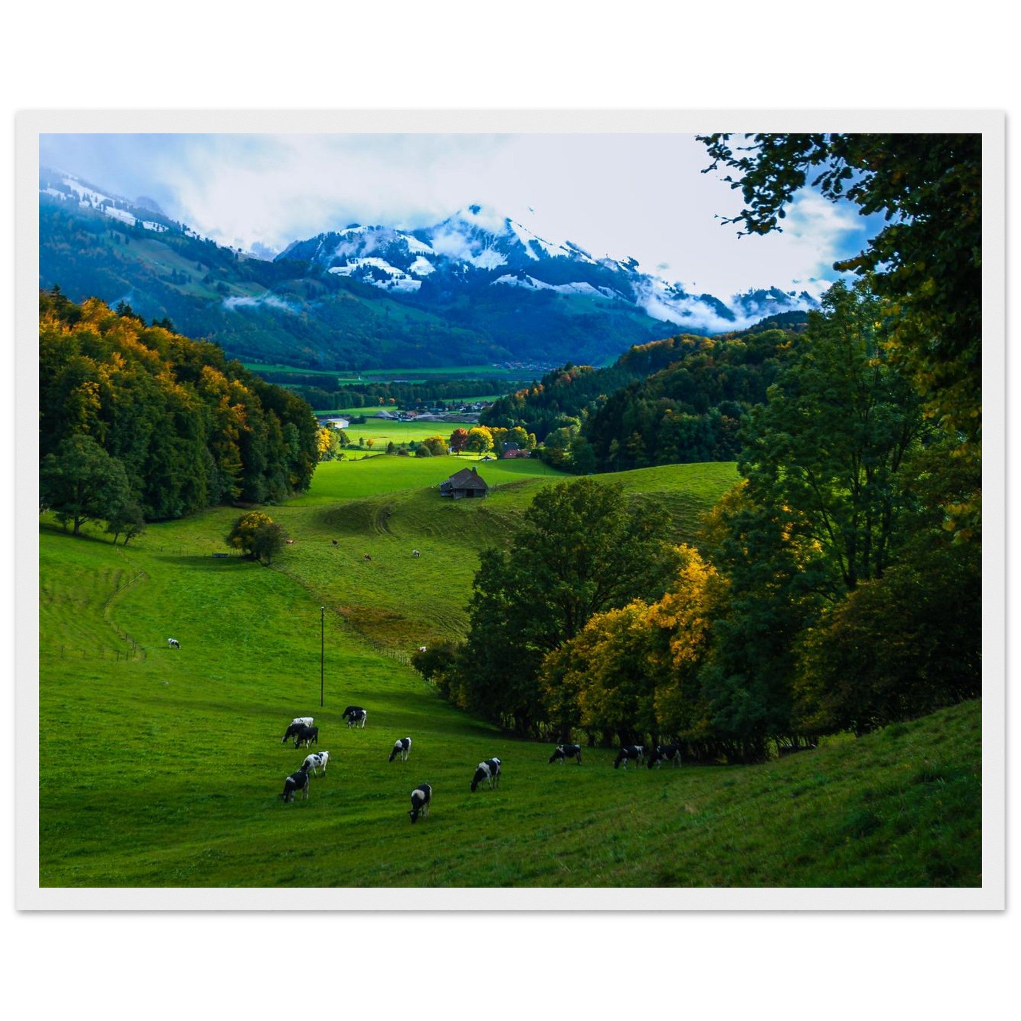 f4ec4919-c37e-43cc-ad8c-c6f263f6bdf2