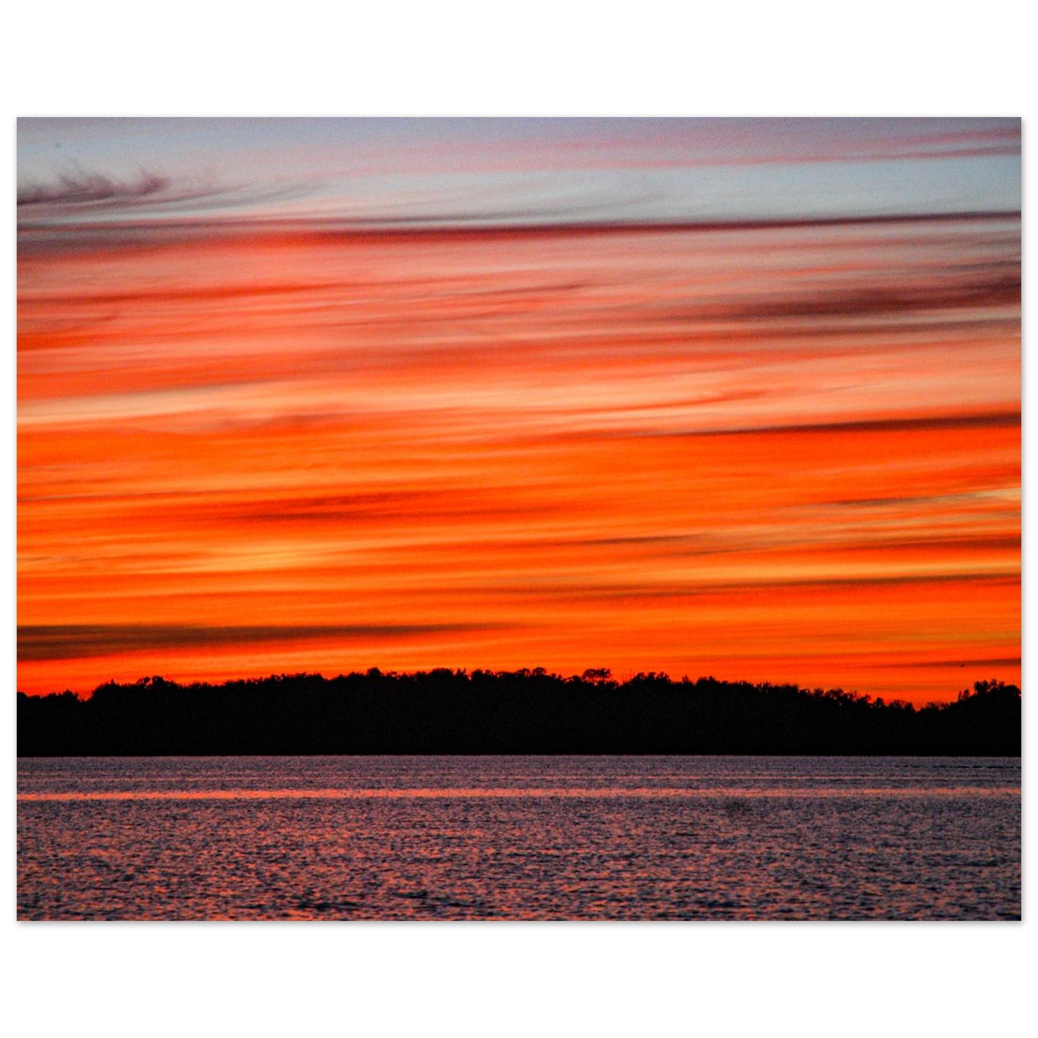 f50de465-322d-459c-b085-4a32dd11b1a5